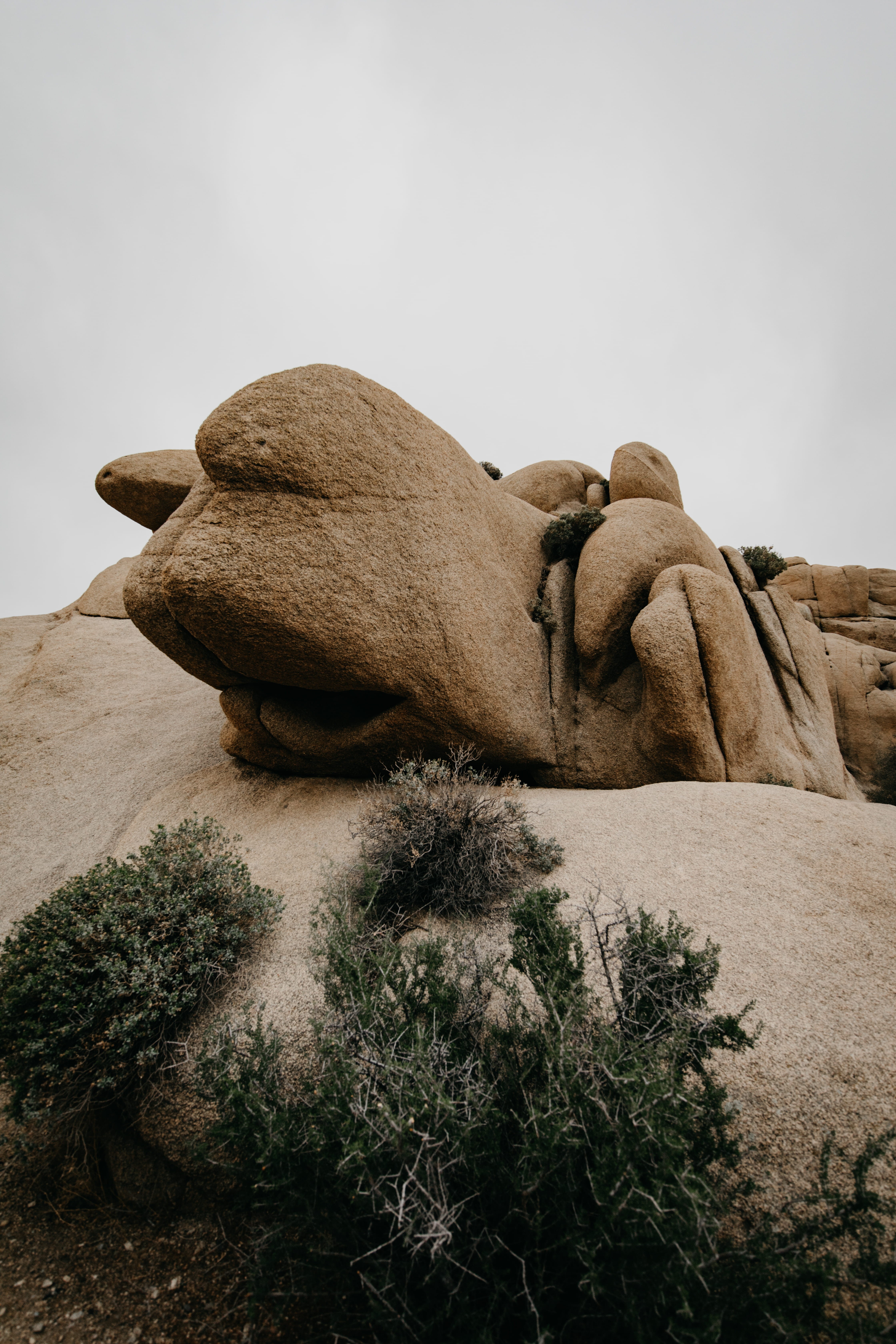 texture, 5K, no people, day, creativity, rock - object, united states, california, tranquility, land, solid, grit, tree, joshua tree national park, climate, Phone HD Wallpaper
