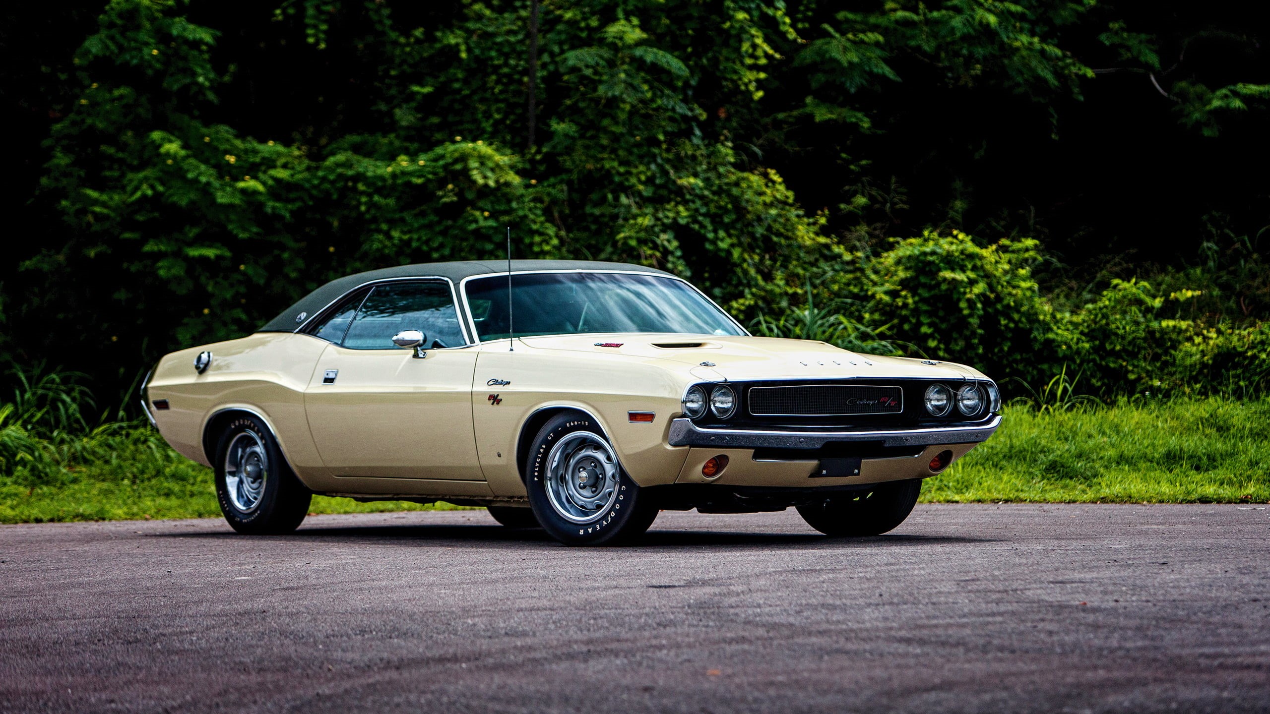 motor vehicle, land vehicle, city, beige, muscle, outdoors, travel, nature, car, road, transportation, R/T SE 440, luxury, 2K, tree, Dodge, retro styled, HD Wallpaper
