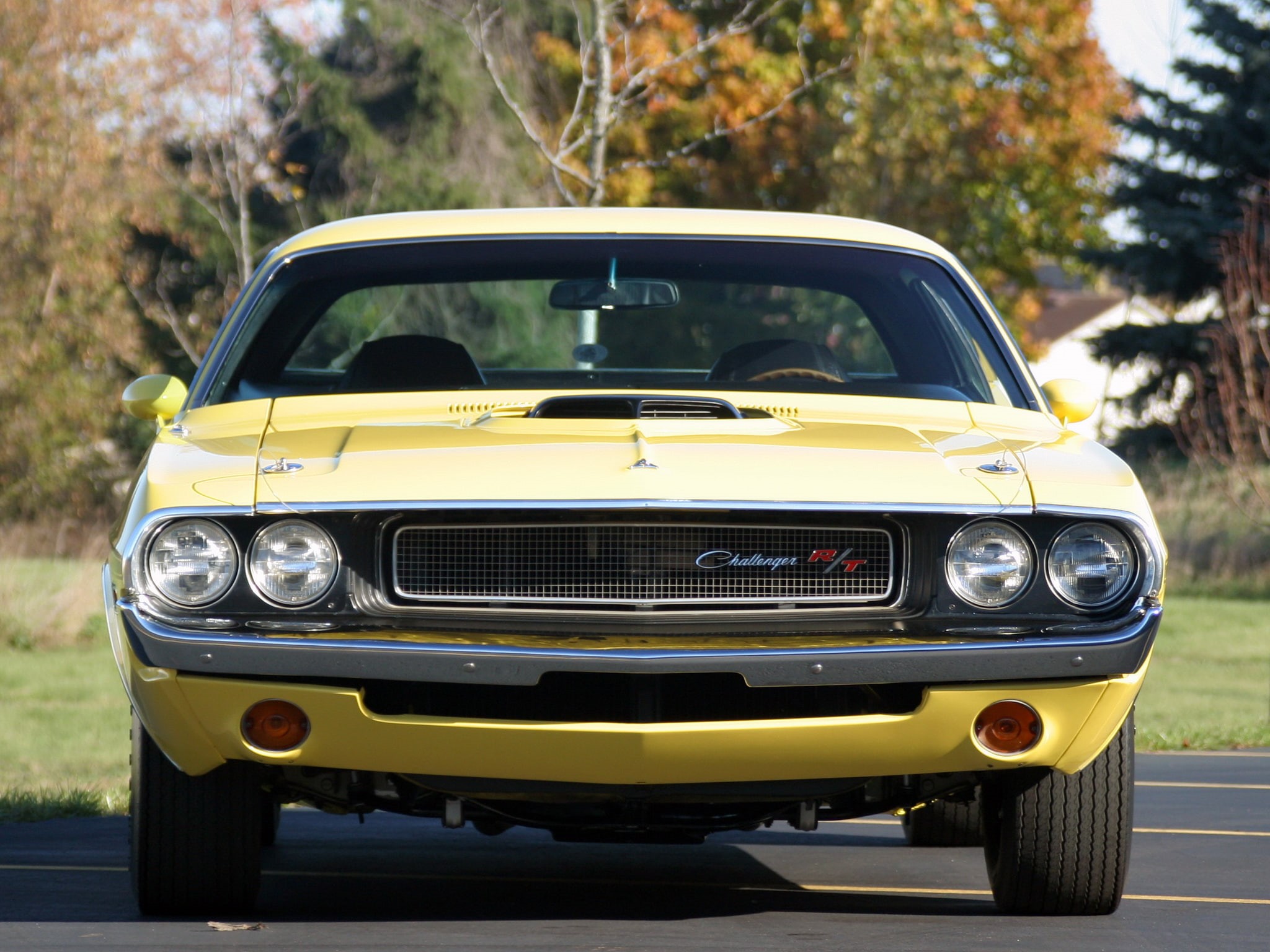 r t, challenger, dodge, 1970, 426, classic, 1080P, hemi, muscle, HD Wallpaper
