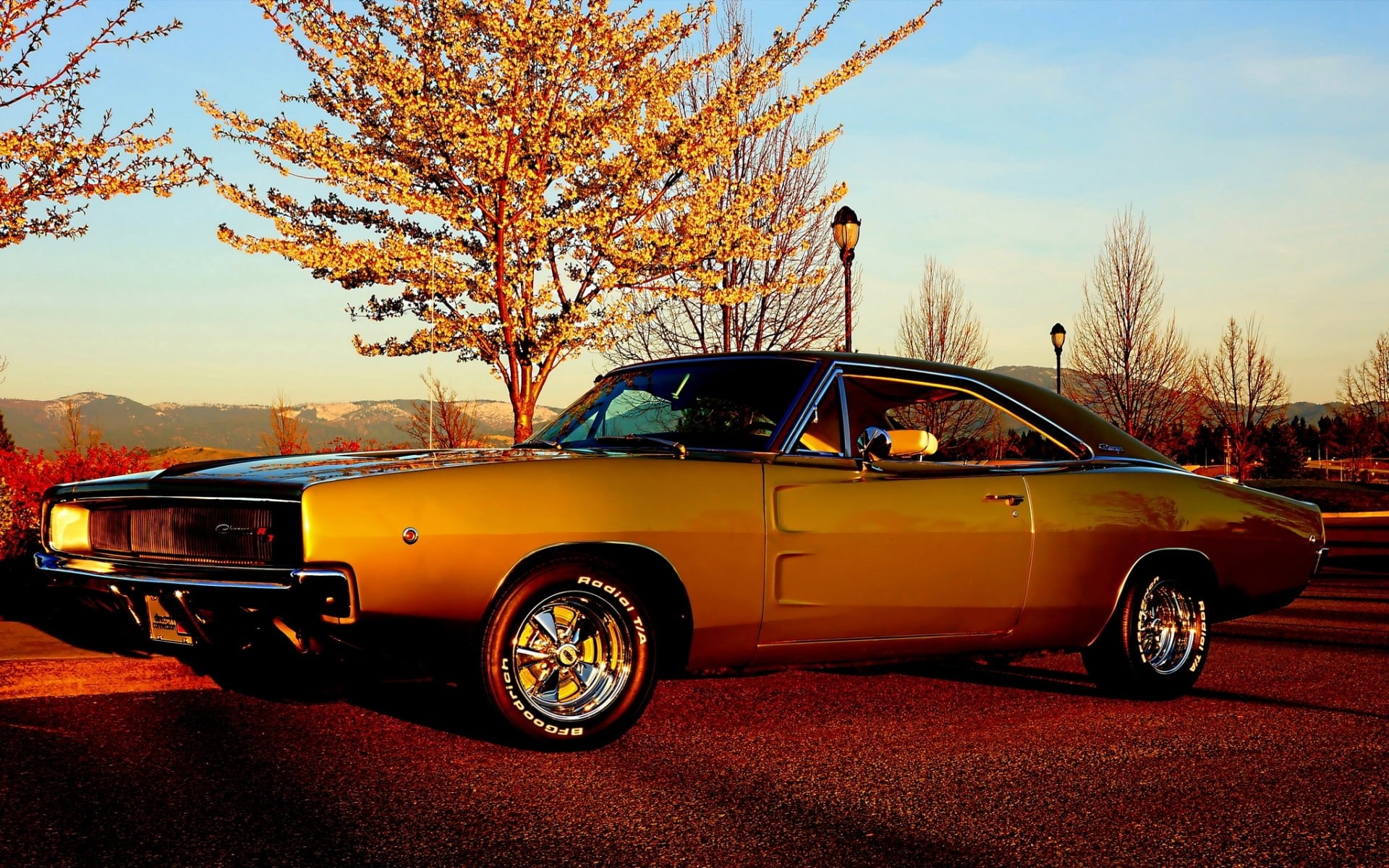front View, transportation, mode of transportation, city, brown, street, red, luxury, outdoors, 1968, american Culture, travel, the sky, tree, 1080P, engine, HD Wallpaper