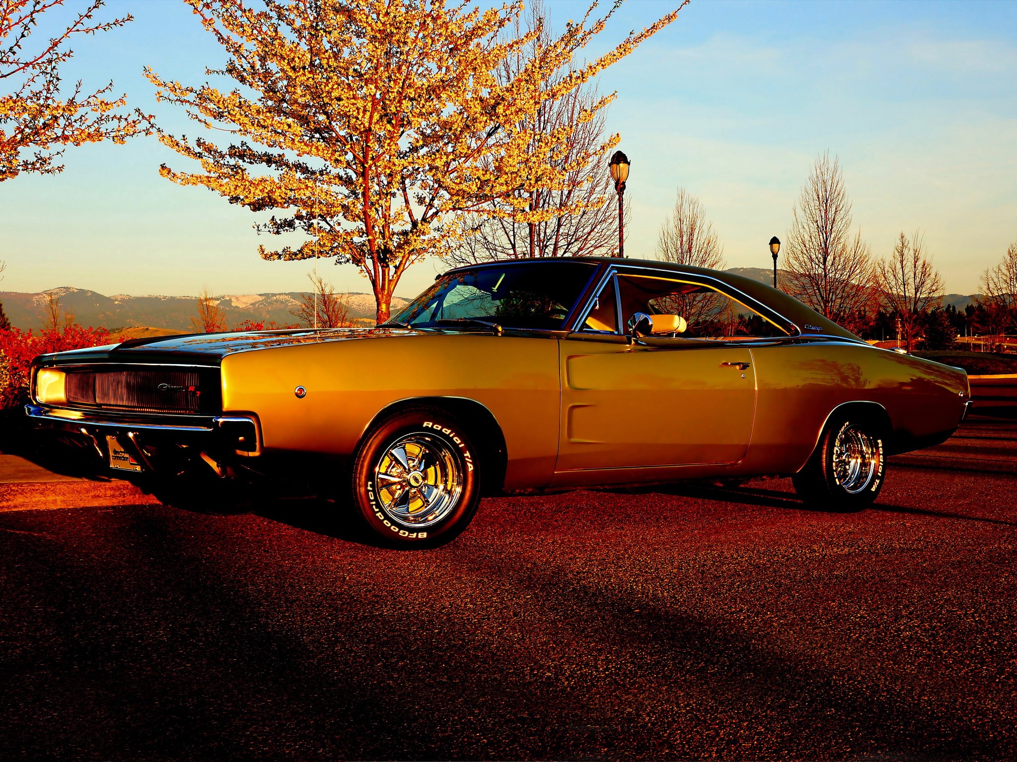 classic, dodge, 1080P, hot, 1968, charger, muscle, r t, rod, rods, HD Wallpaper
