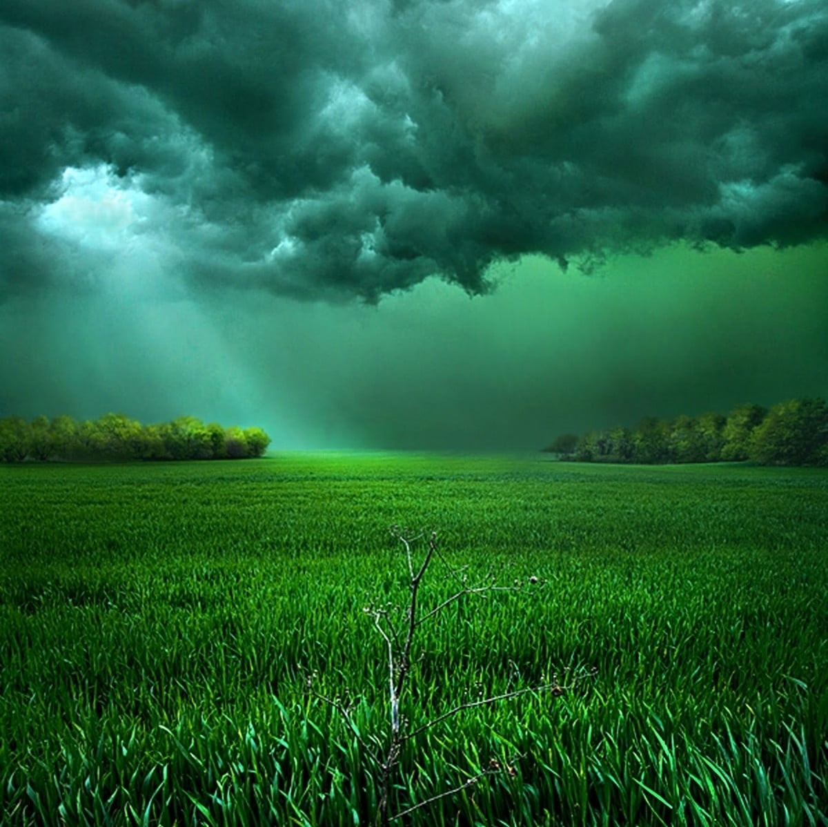 land, scenics - nature, green color, beauty in nature, power in nature, cloud - sky, grass, torrential rain, sky, no people, shrubs, clouds, green, environment, HD Wallpaper