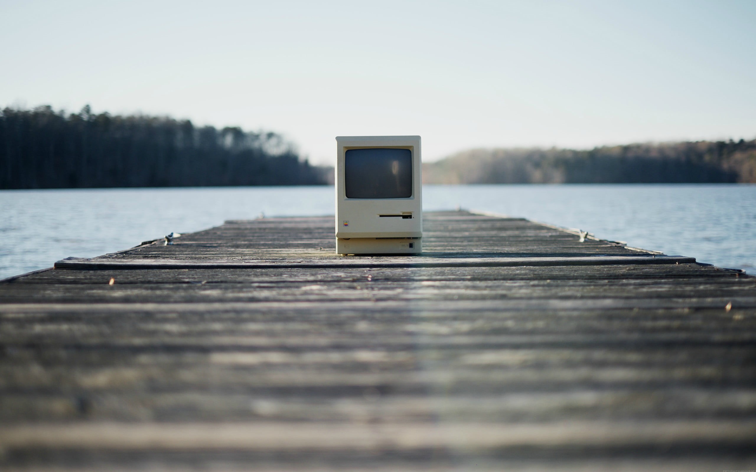 surface level, selective focus, tree, tranquil scene, reflection, clear sky, sky, computer, white, nature, water, wood - material, computer outdoors, transportation, HD Wallpaper
