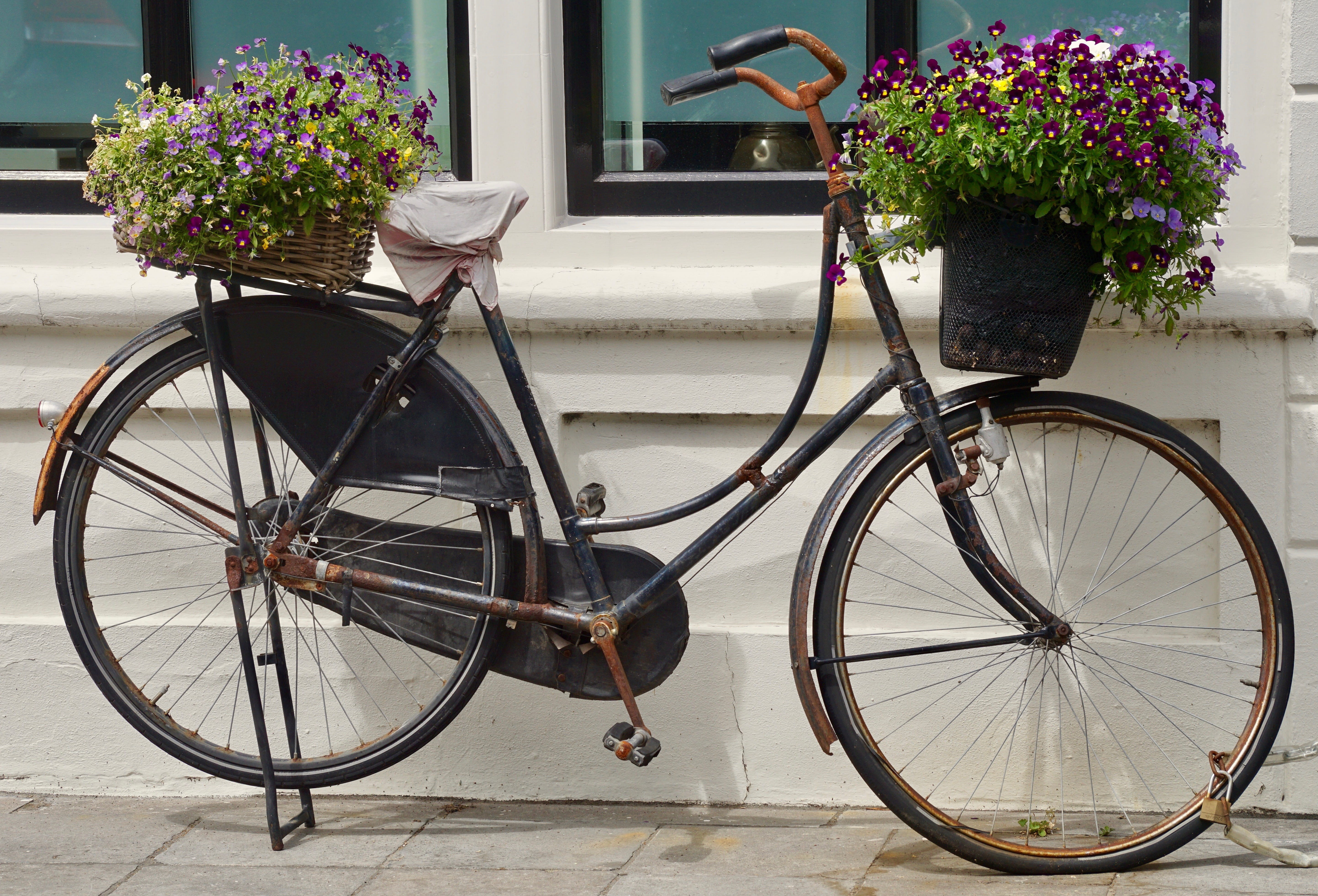 bicycle, bikes, Wheeled Vehicle, turned off, basket, transportation, decorated, nature, flowering plant, day, wheel, summer flor, chain, growth, Bike, deco, HD Wallpaper