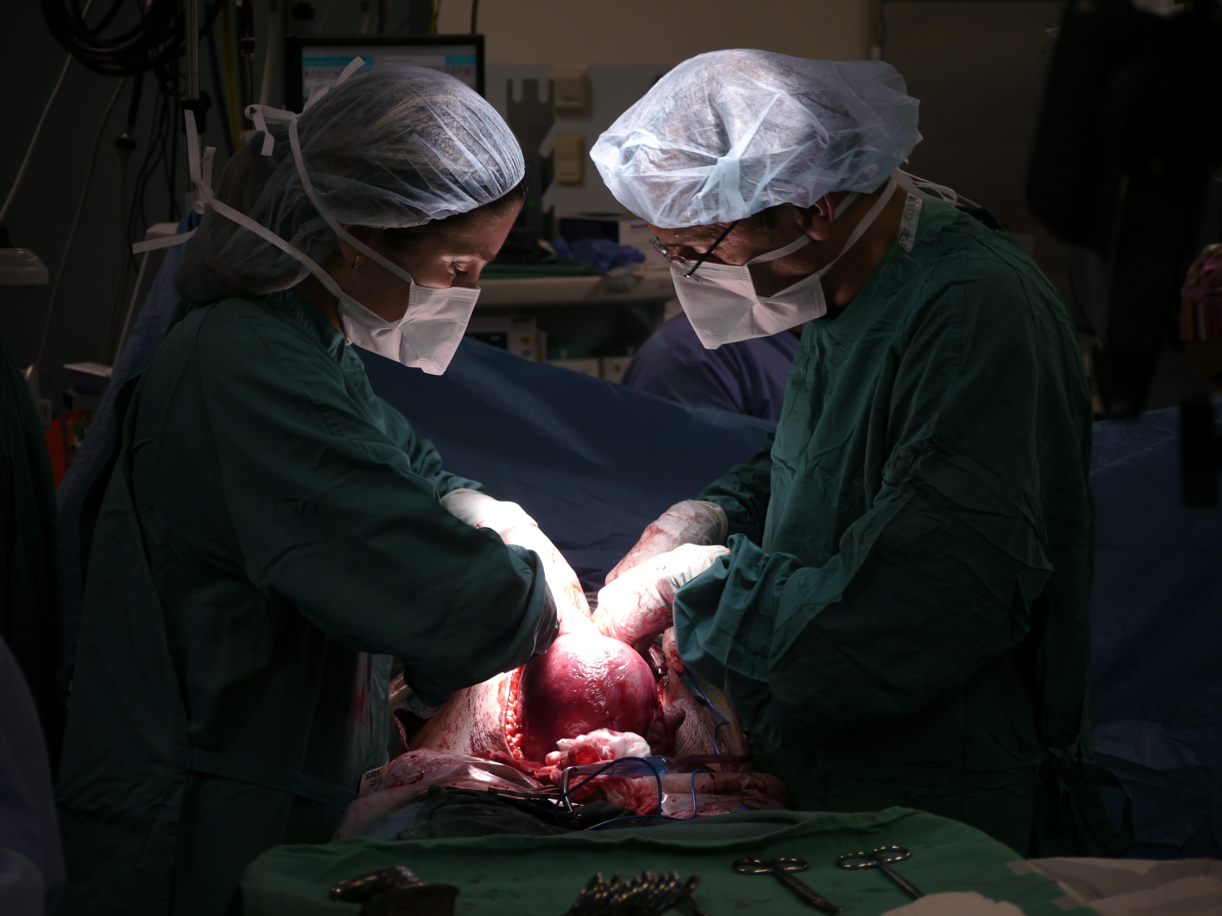 two people, surgeon, people, operating room, protection, care, surgical glove, working, protective workwear, expertise, occupation, surgical equipment, HD Wallpaper