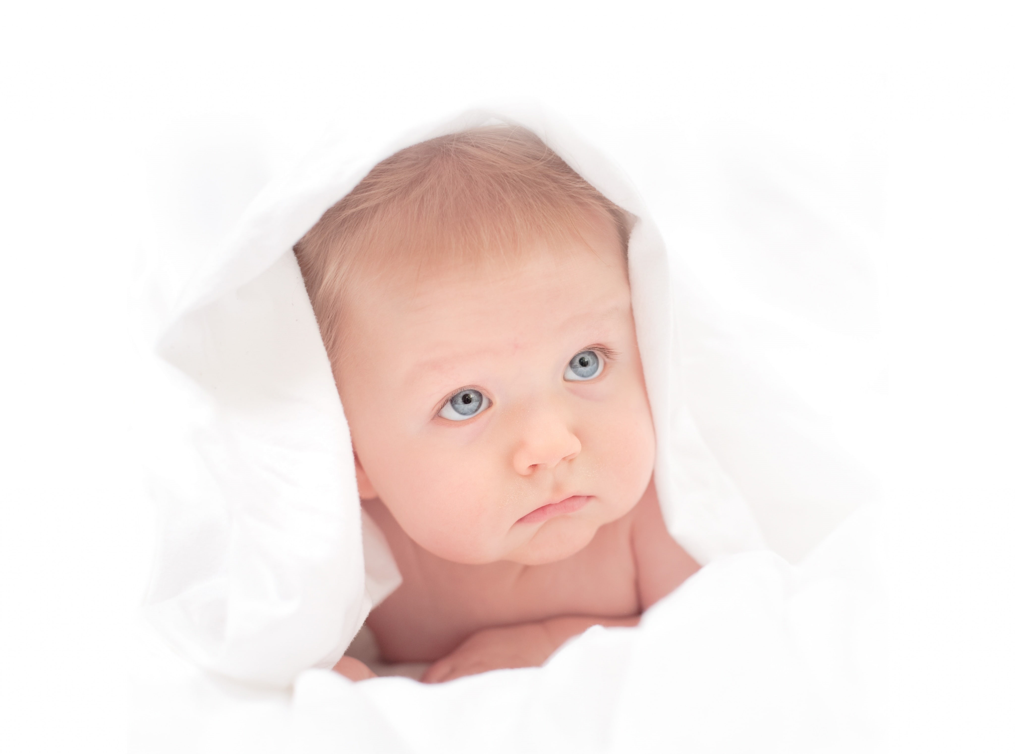 Umbrella, cloth, Light, childhood, Baby, shootthrough, elinchrome, one person, newborn, Pure, infant, lying down, looking, 4K, jacob, strobist, young, HD Wallpaper