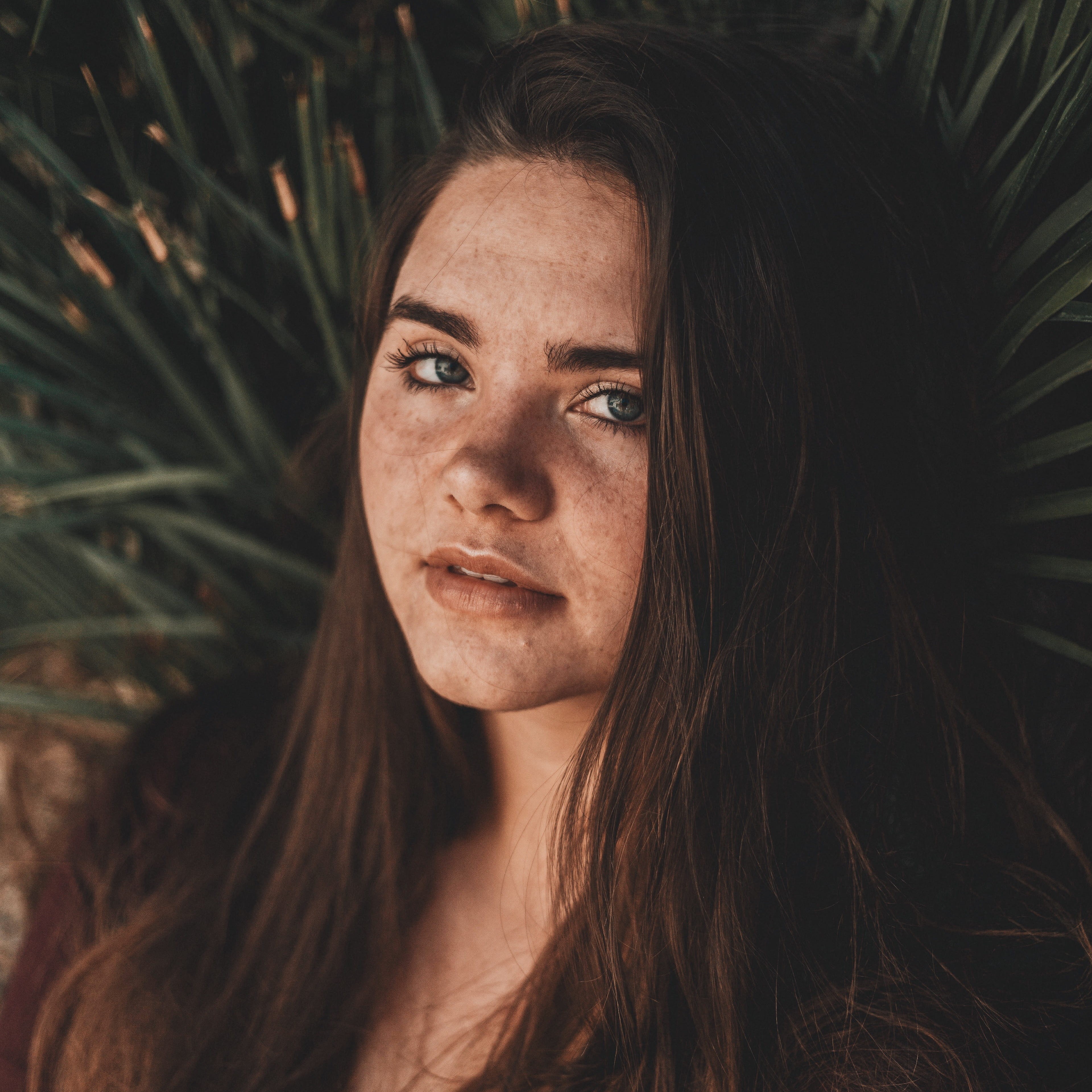 looking, young women, long hair, hairstyle, women, green, lasvega, leaves, caucasian, headshot, face, beautiful woman, girl, beauty, 4K, beside, young adult, Phone HD Wallpaper