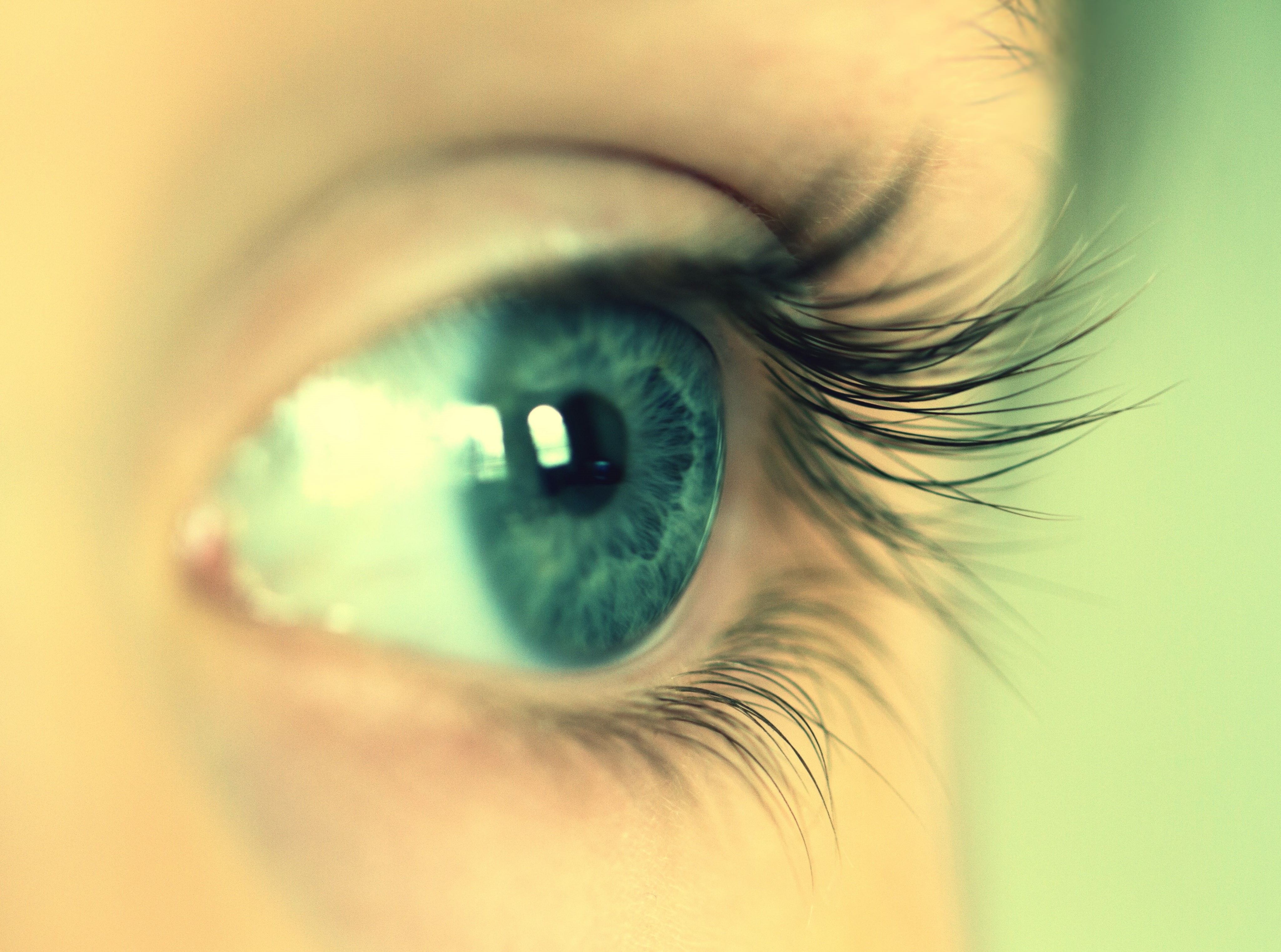 blueeye, eyeball, Love, human face, person, 4K, beauty, sensory perception, eyelash, adult, Macro, extreme close-up, contemplation, looking, upclose, one person, HD Wallpaper