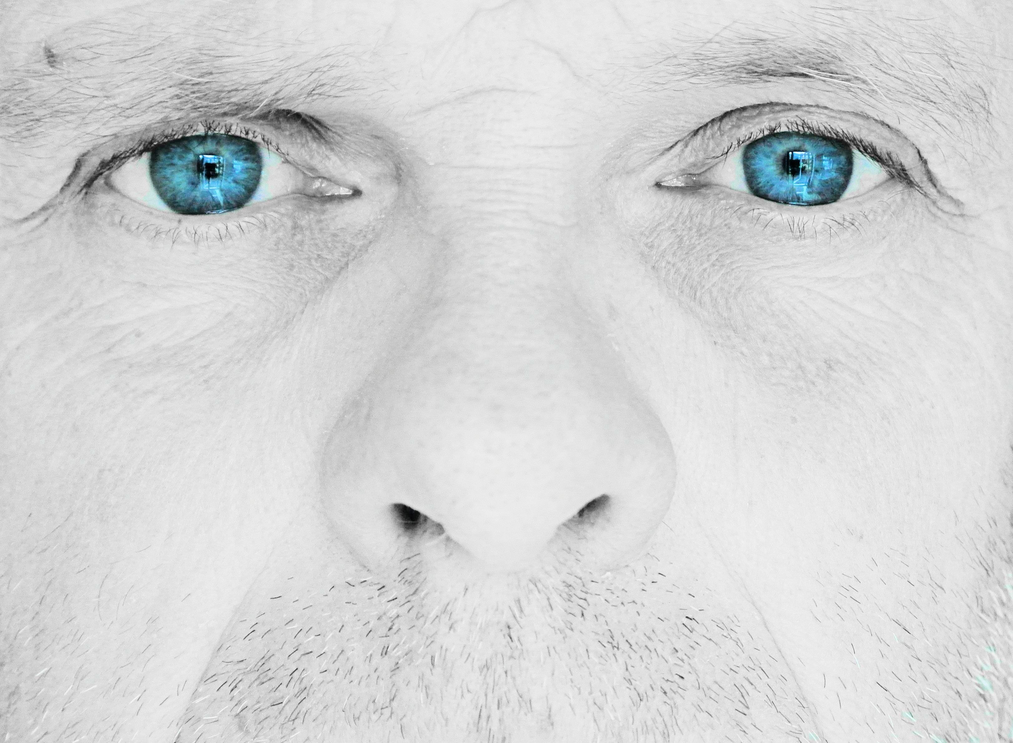 Ol, J2, Portrait, blueeyes, one Person, face, Person, blue  eyes, NIkon, willis, men, human Face, nose, Blue Eyes, caucasian Ethnicity, 2K, CJS, Bruce Willis, HD Wallpaper