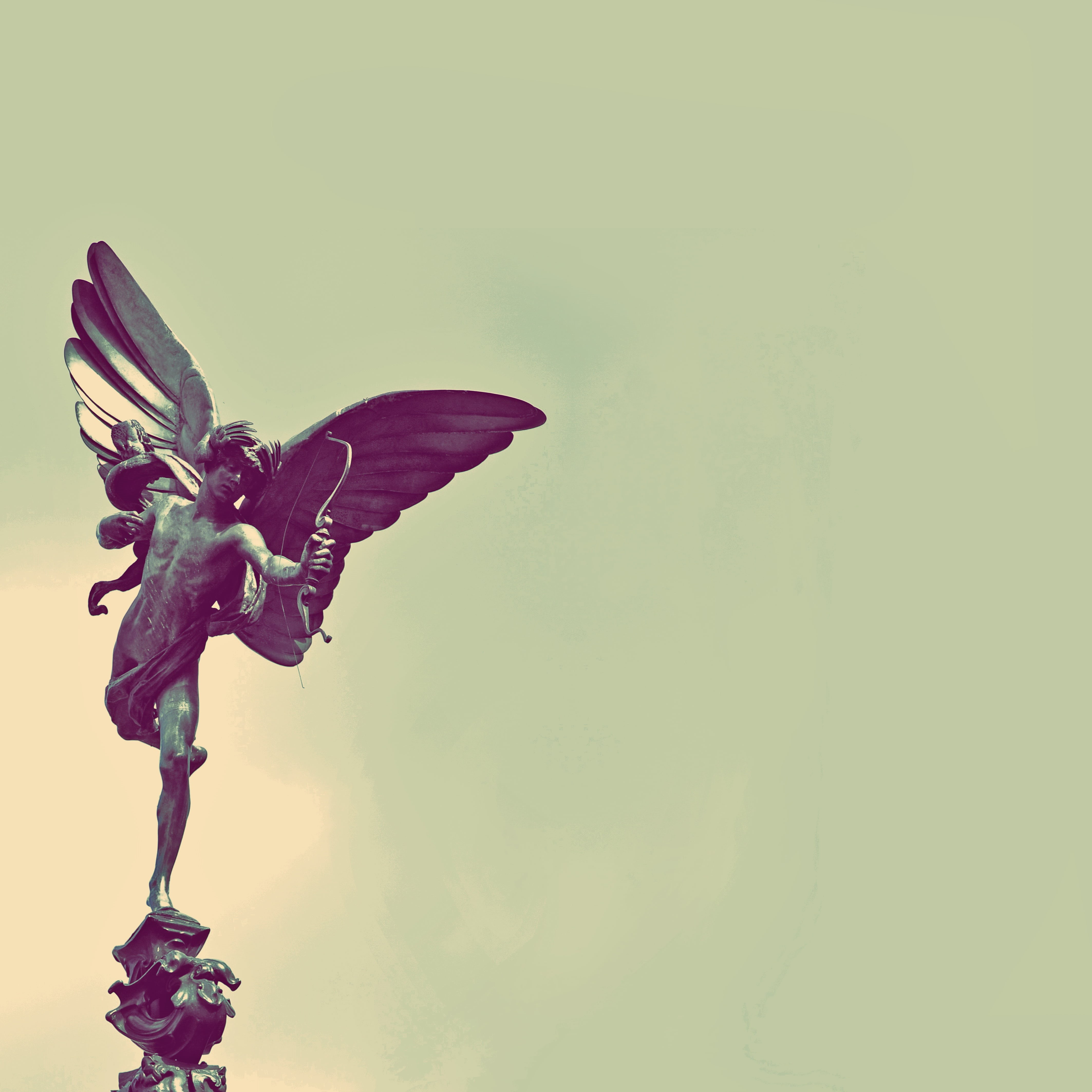 flowering plant, close-up, insect, london, animal, greek, angel, cupid, statue, purple, flower head, britain, kingdom, culture, nature, famous, petal, bow, Phone HD Wallpaper