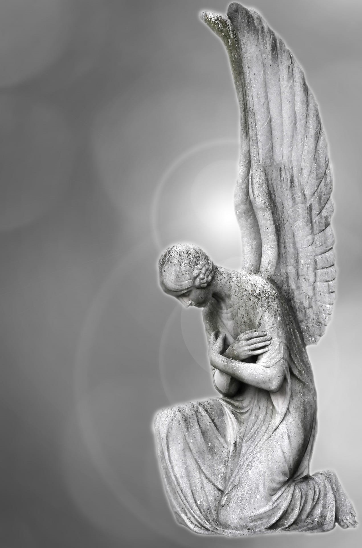 creativity, flying, indoors, animal, representation, tomb, focus on foreground, marble, angelic, art and craft, religious, illustration, spirituality, animals in the wild, Phone HD Wallpaper