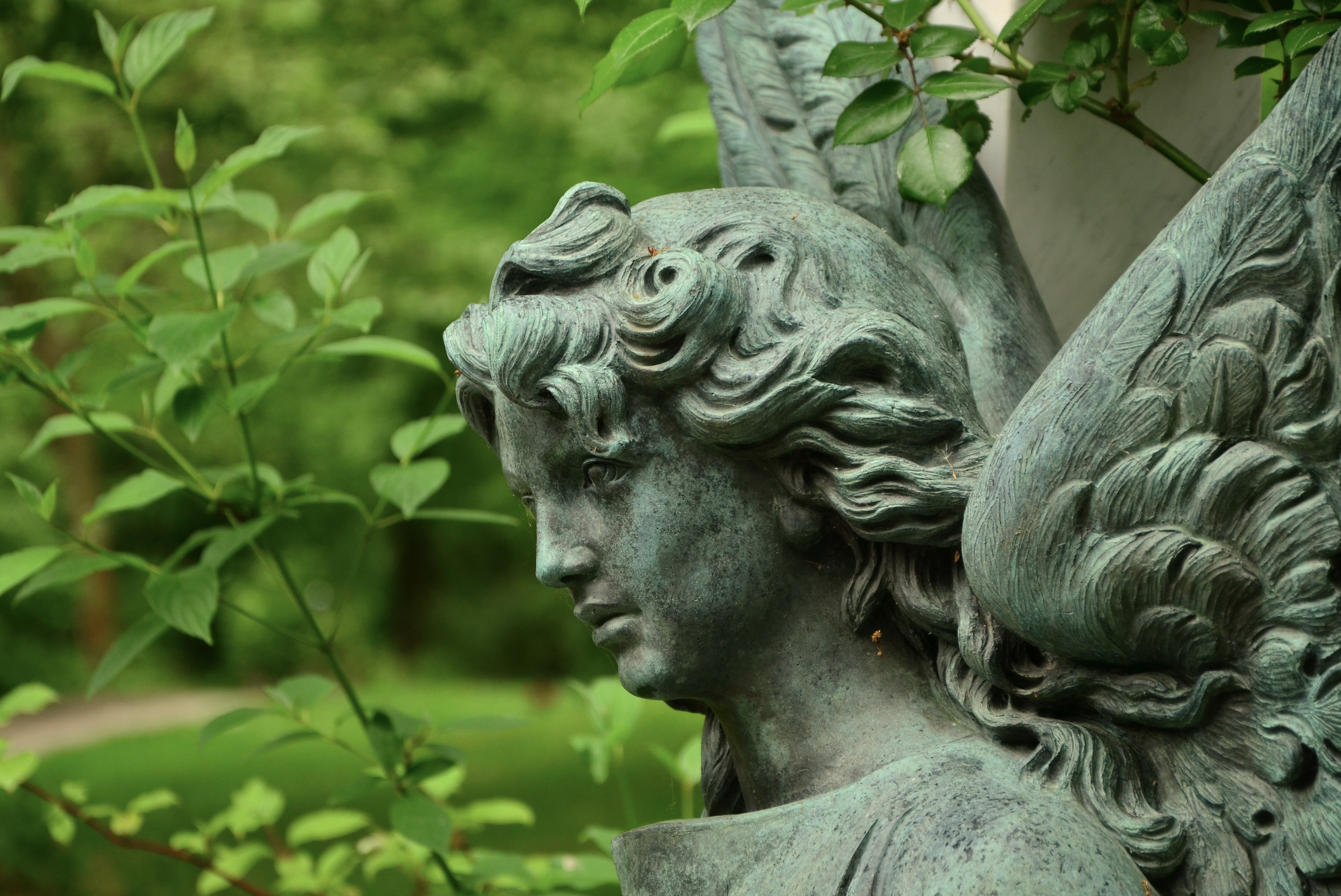 park - man made space, plant, close-up, profile view, green color, architecture, female, craft, side view, photo, angel, angel face, art and craft, leaf, HD Wallpaper