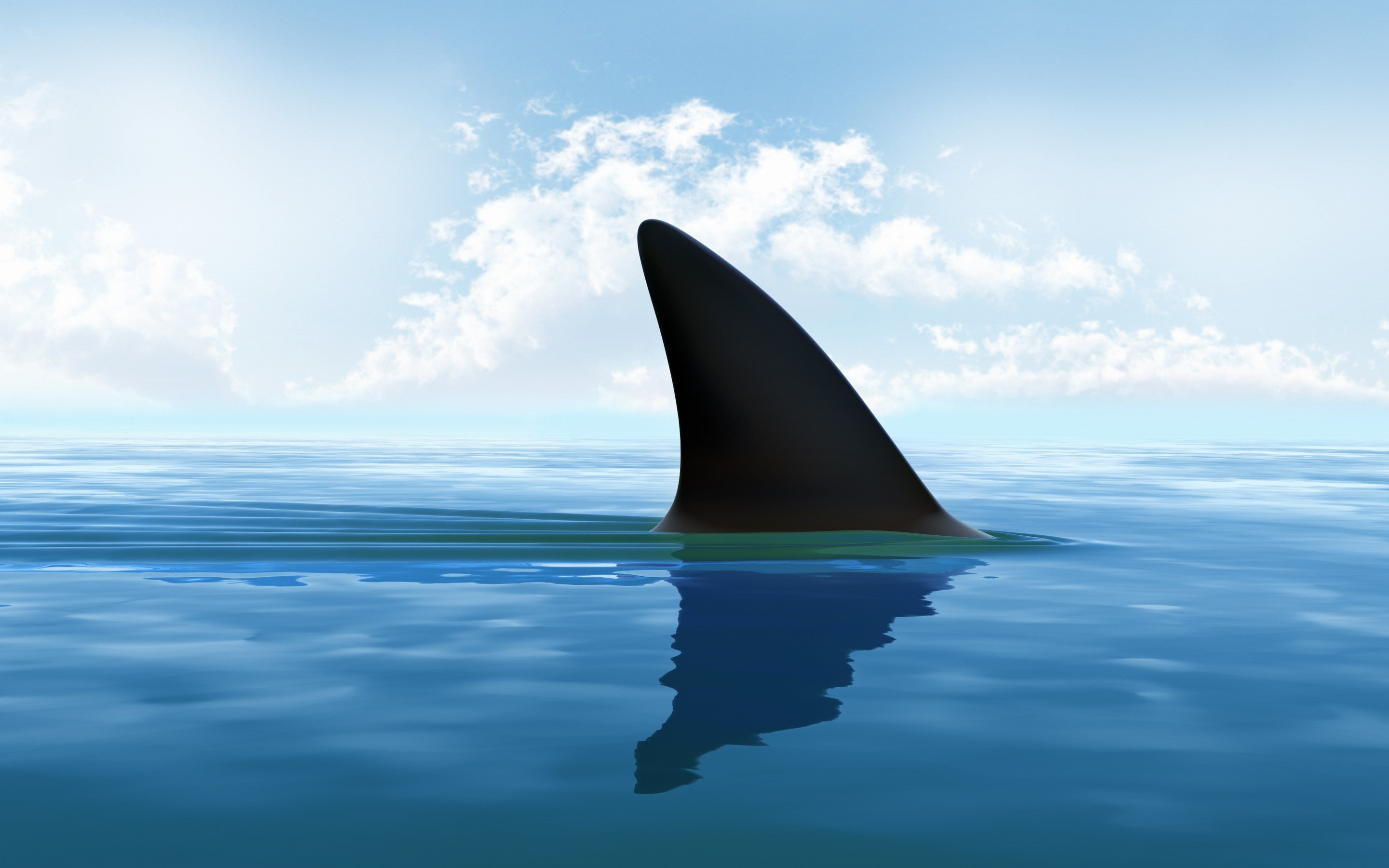 clouds, minimalism, sky, animal themes, outdoors, waterfront, fish, CGI, swimming, underwater, digital art, animal wildlife, animals in the wild, sea, day, HD Wallpaper