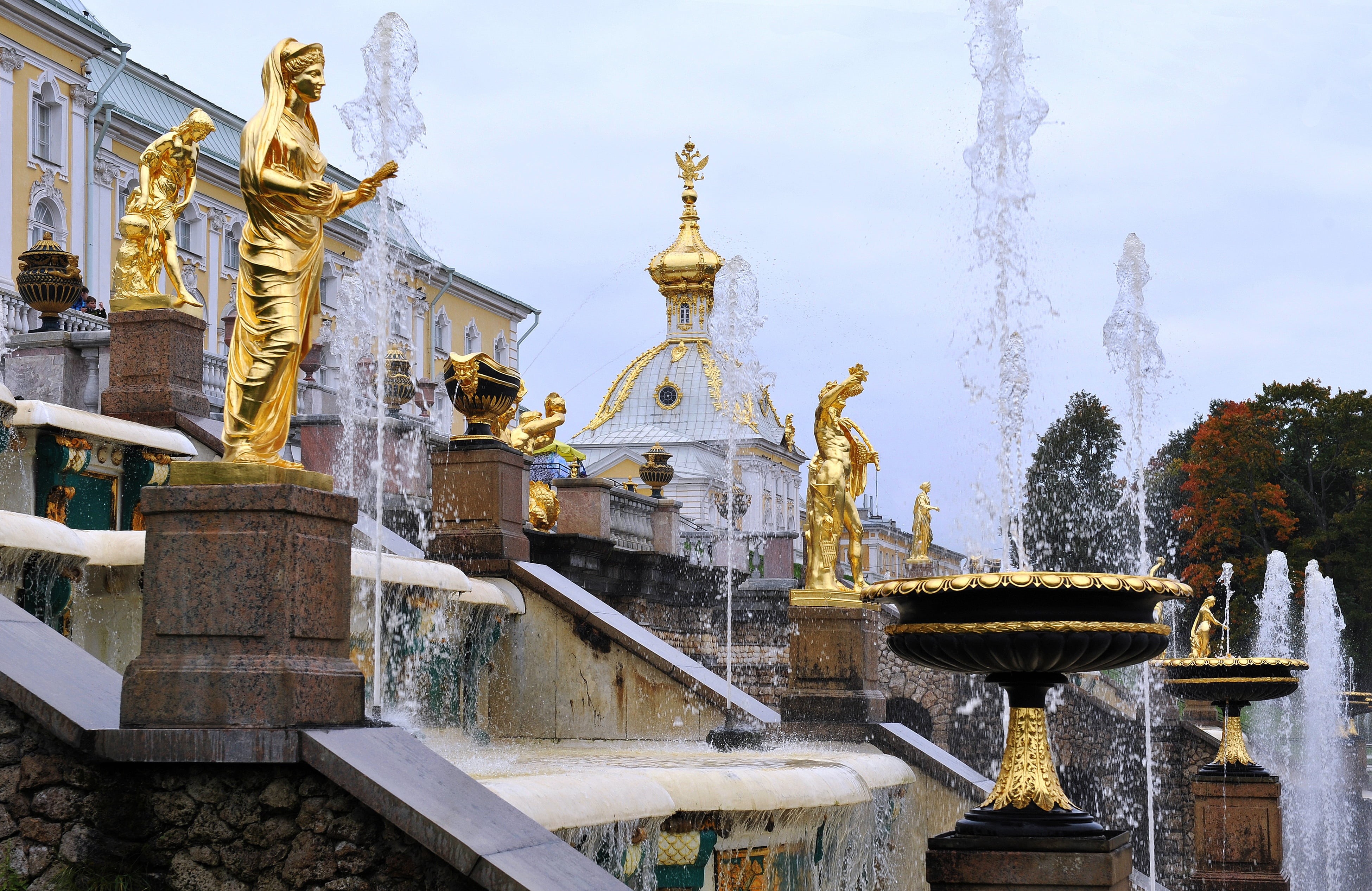 tree, 4K, cultures, creativity, outdoors, day, peterhof, building, europe, gilded, place of worship, built structure, ornate, architecture, parks, building exterior, HD Wallpaper