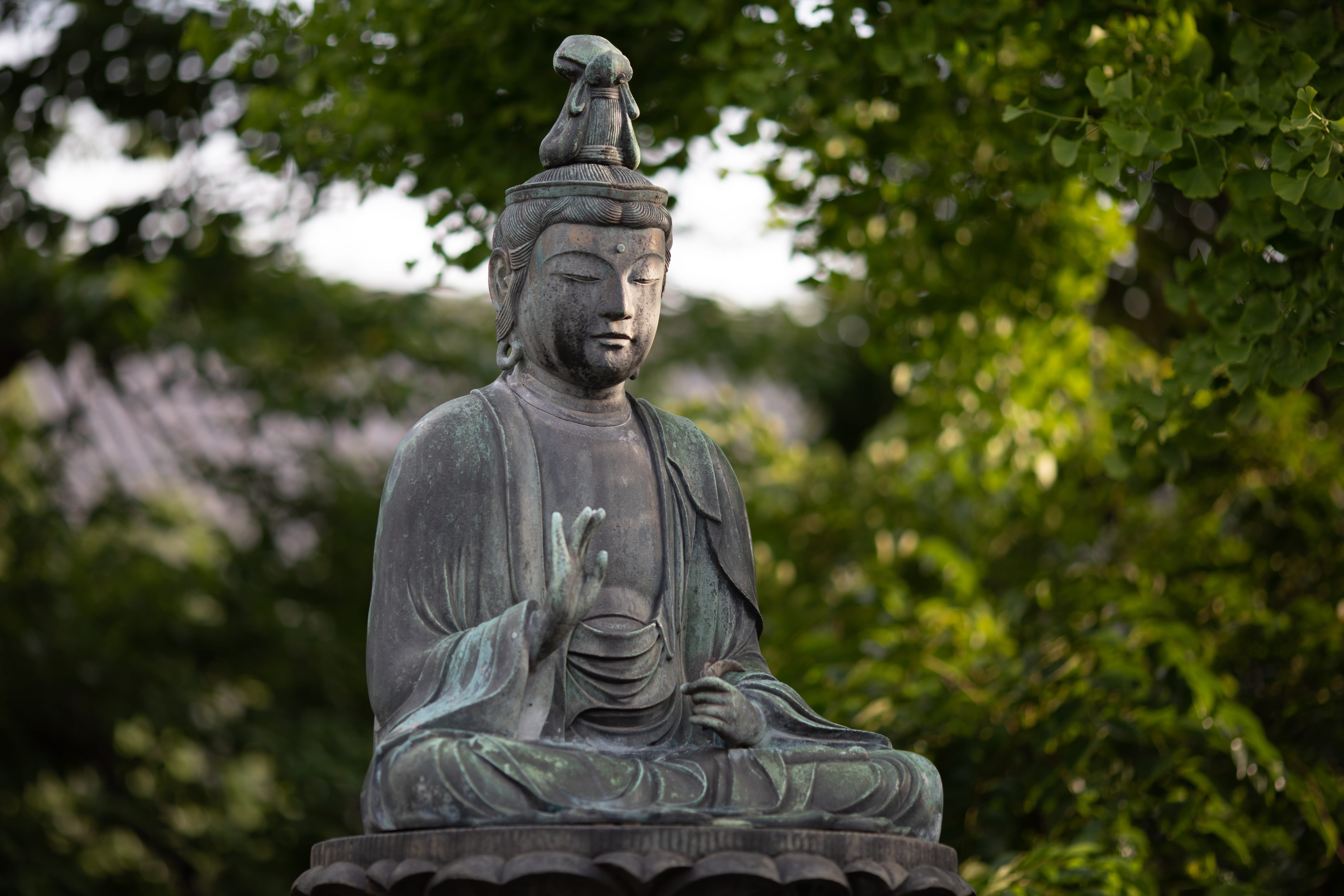stone, spirituality, belief, Buddhism, no people, Asian, day, 5K, creativity, buddha, daylight, blurred background, statue, worship, culture, sacred, trees, HD Wallpaper
