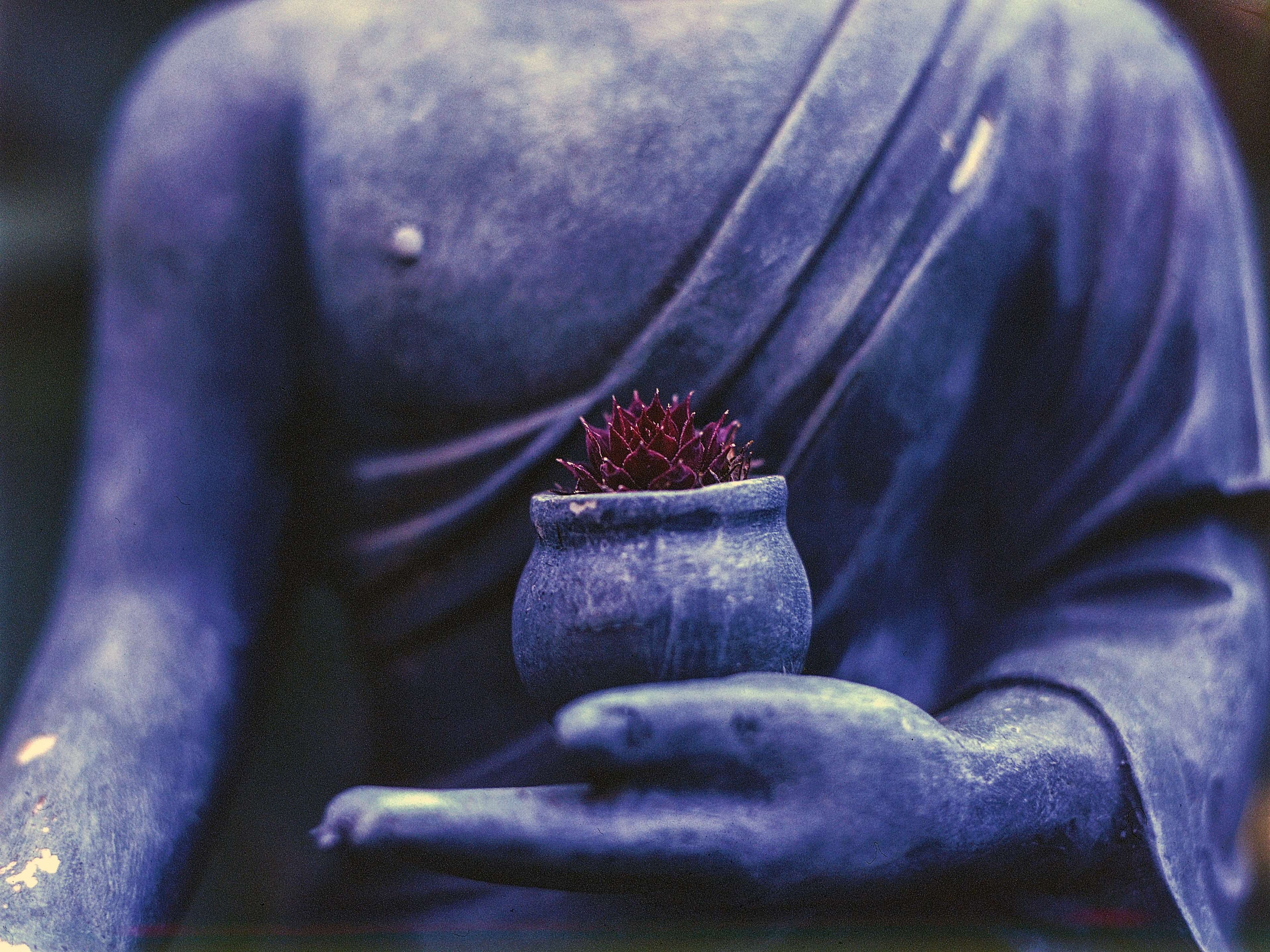 god, buddha, wellbeing, serenity, blue, no people, tranquil, buddhism, peace, relaxation, freshness, growth, container, flowering plant, day, fruit, outdoors, HD Wallpaper