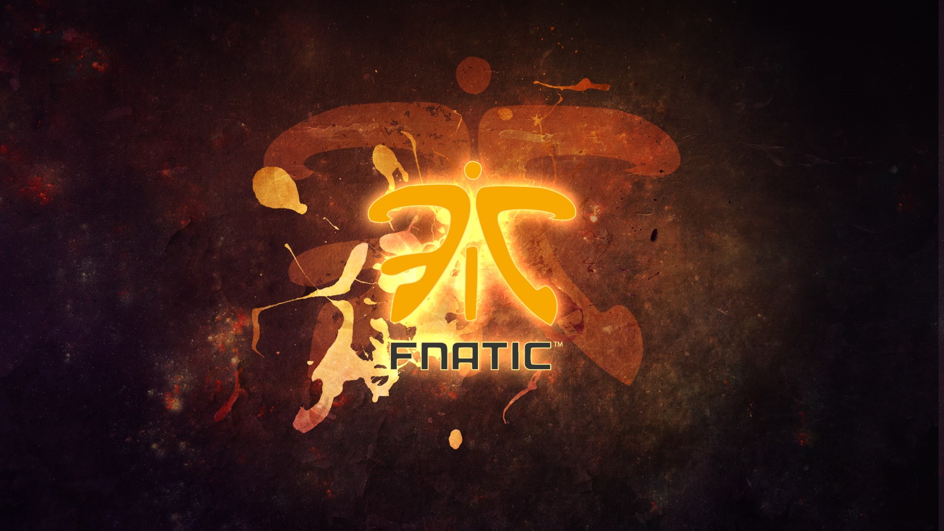 Fnatic, 1080P, League of Legends, e-sports, HD Wallpaper