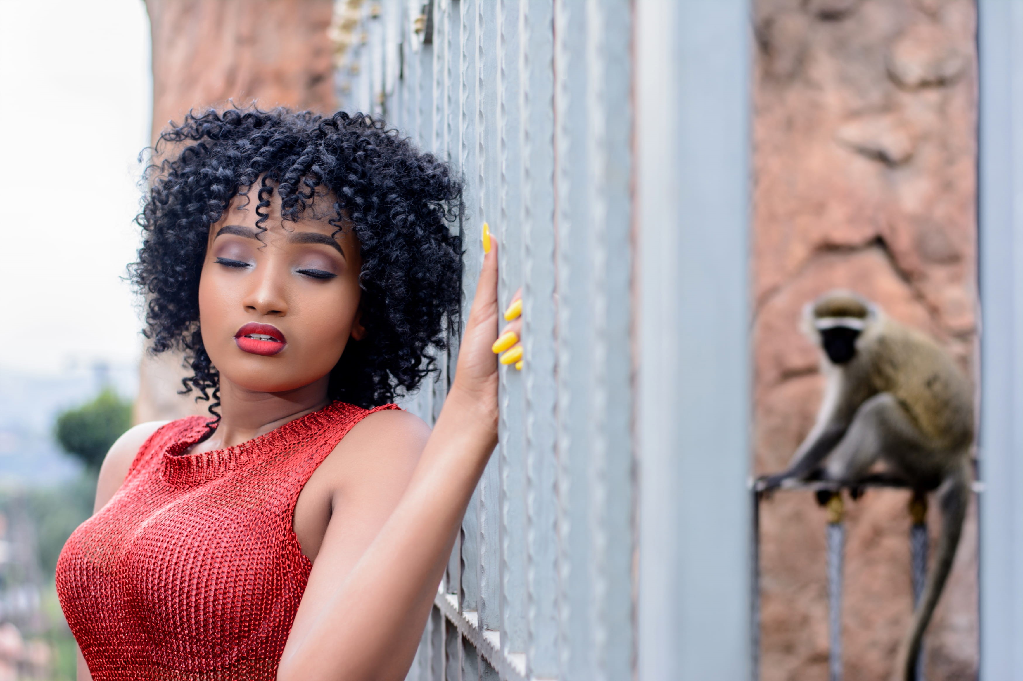 adult, photoshoot, young, female, beside, woman, beautiful, facial expression, pretty, hair, contemplation, person, face, monkey, outdoors, hairstyle, beautiful woman, HD Wallpaper