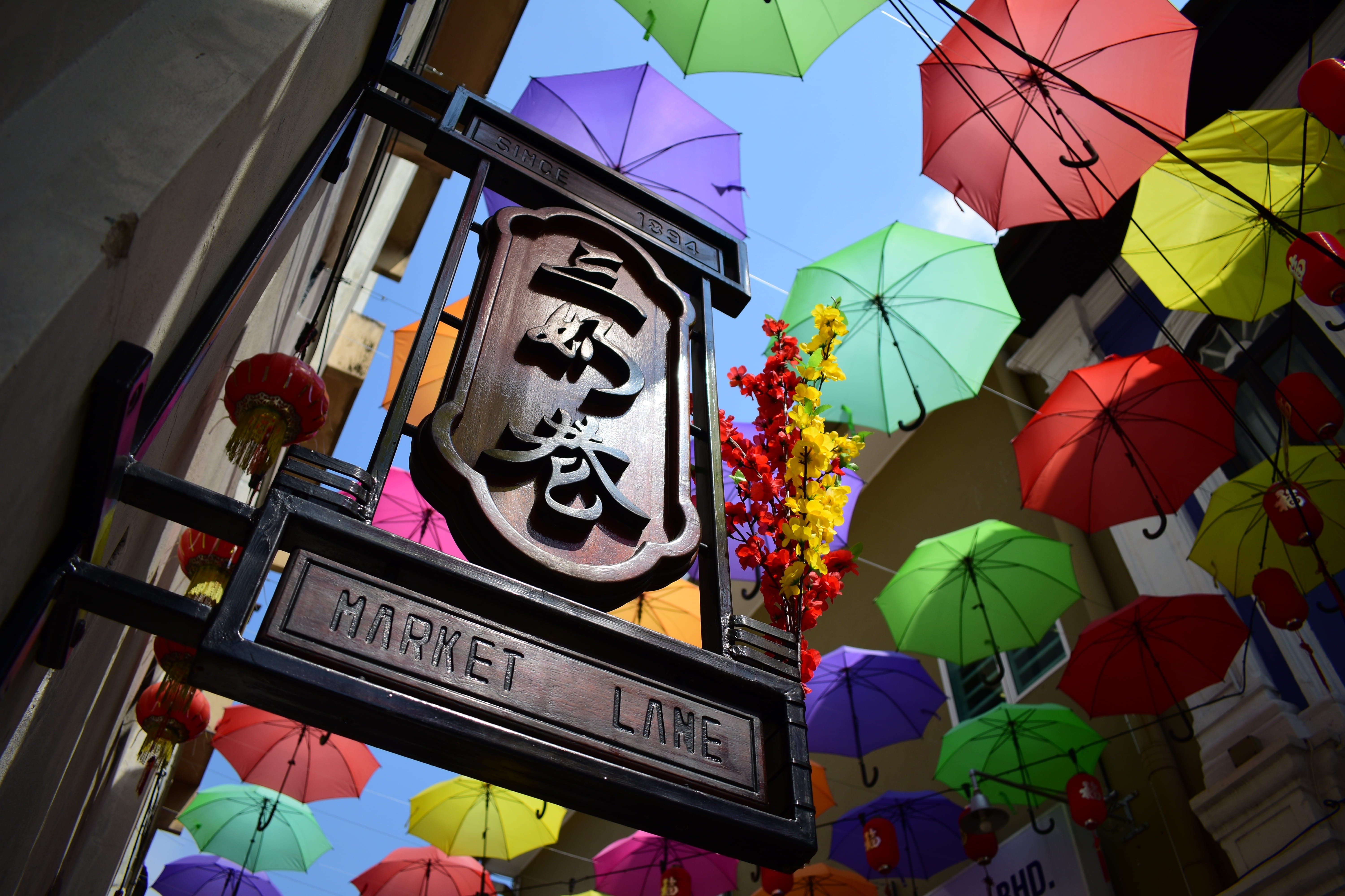 shelter, 5K, day, low angle view, architecture, built structure, multi colored, umbrella, security, canopy, hanging, nature, variation, road, human representation, HD Wallpaper