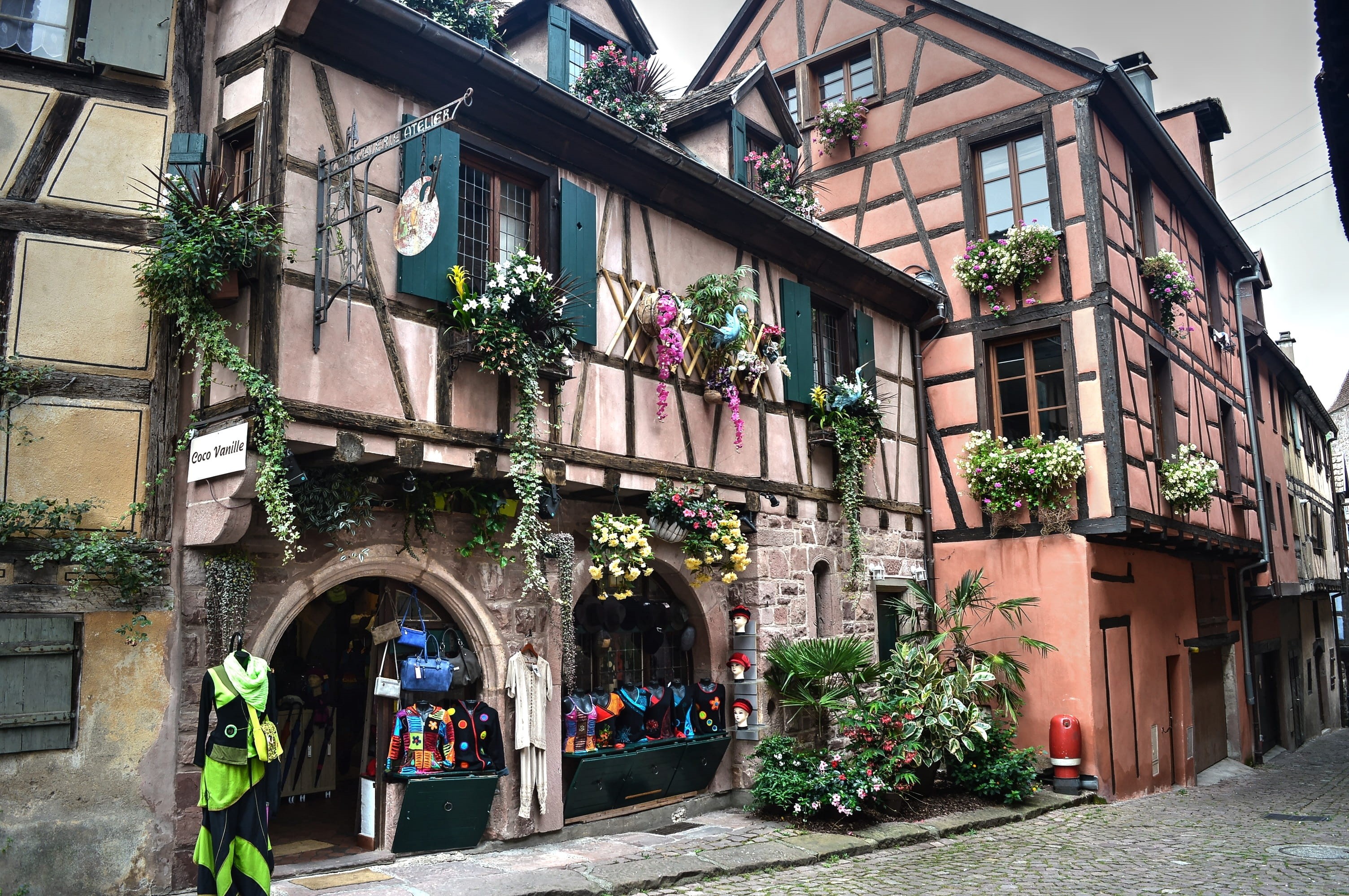 flower, alley, residential district, flower pot, day, door, europe, urban Scene, street, Half-Timbered House, town, Shop, wall, architecture, no people, HD Wallpaper