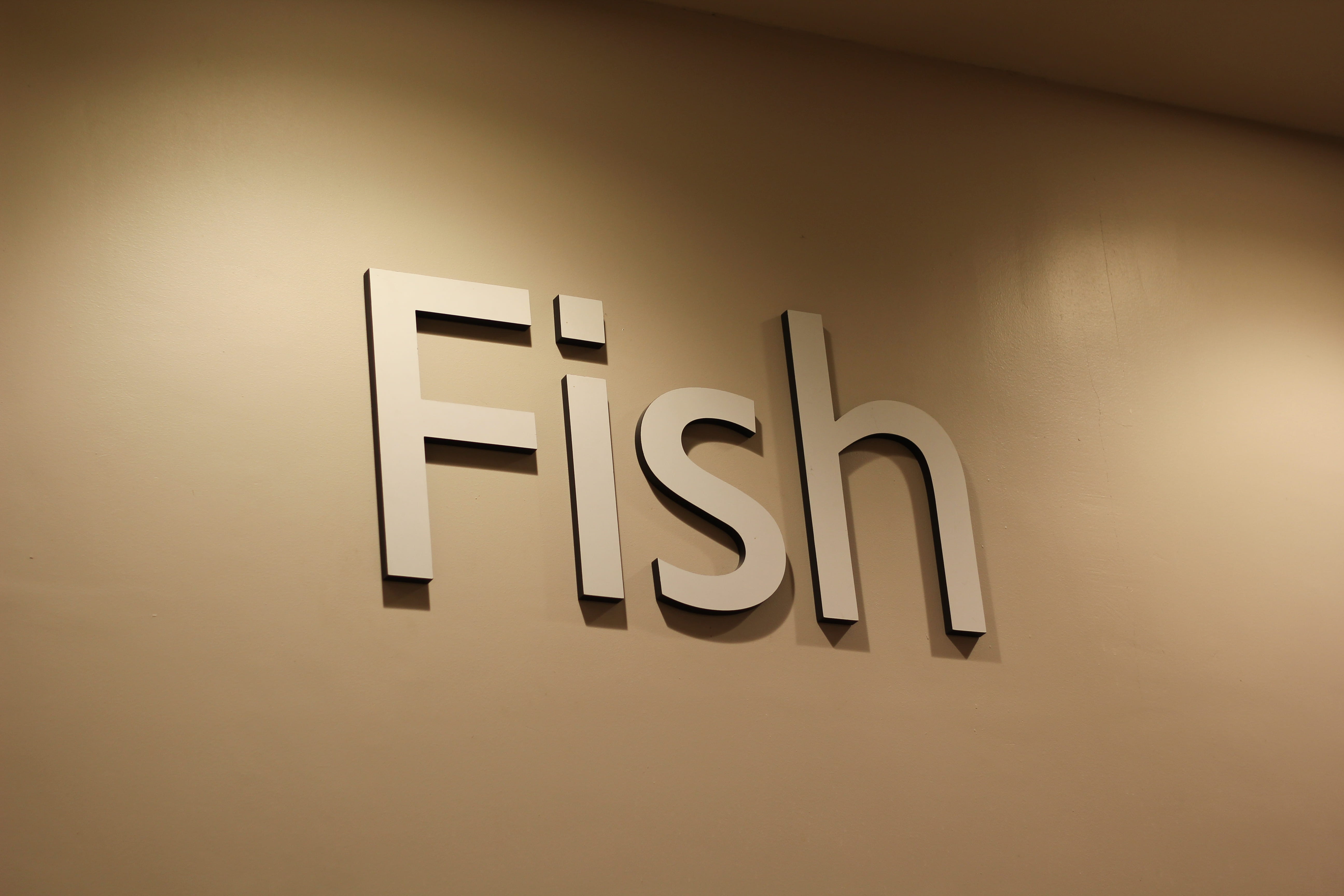 furniture, shoe shop, western script, word, indoors, wall - building feature, #fish, text, illuminated, close-up, number, logo, architecture, 5K, sign, HD Wallpaper