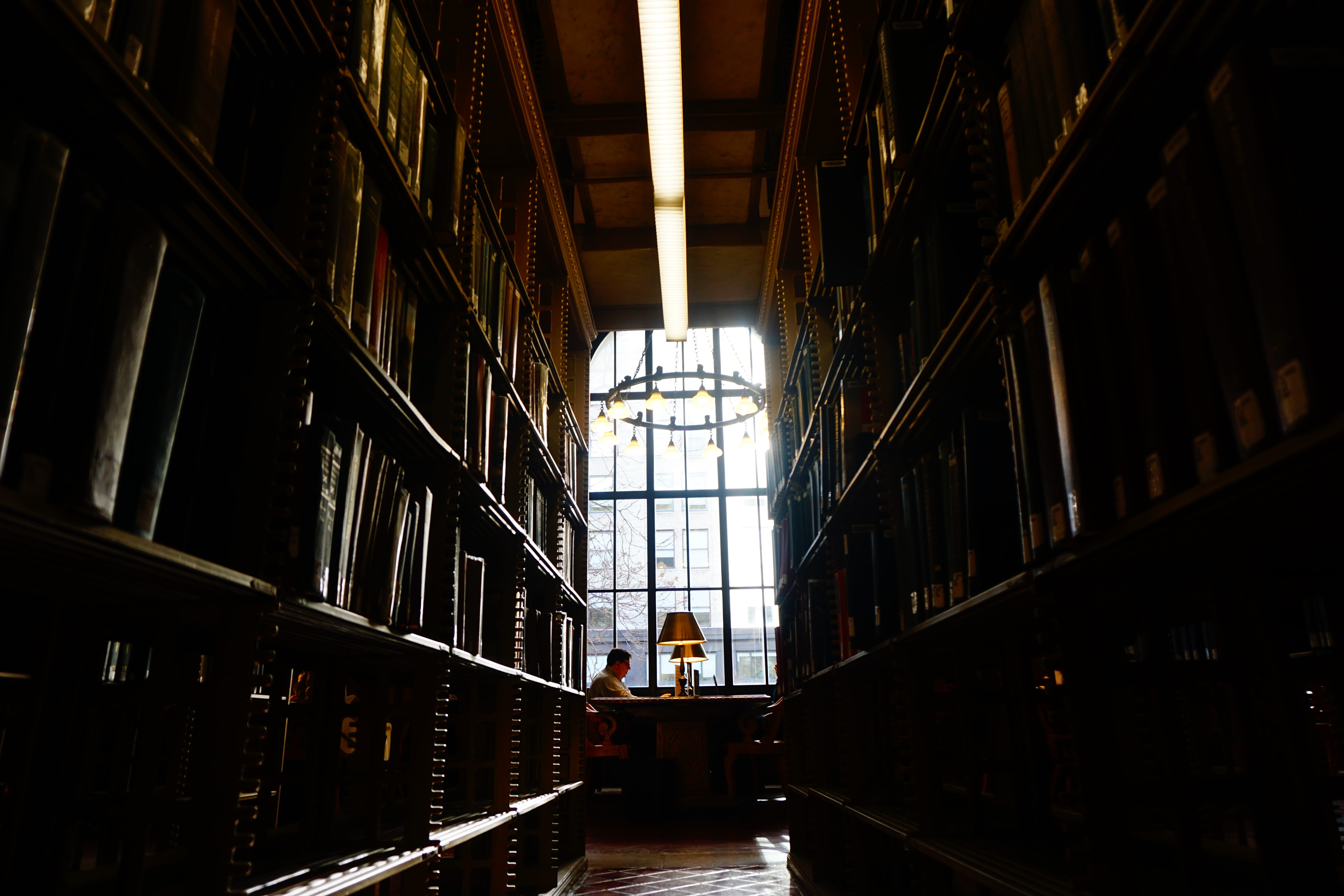 person, book, men, hall, corridor, sitting, bookshelf, table, desk, lamp, inside, lifestyles, crypt, hardwood, architecture, shelf, building, room, furniture, HD Wallpaper