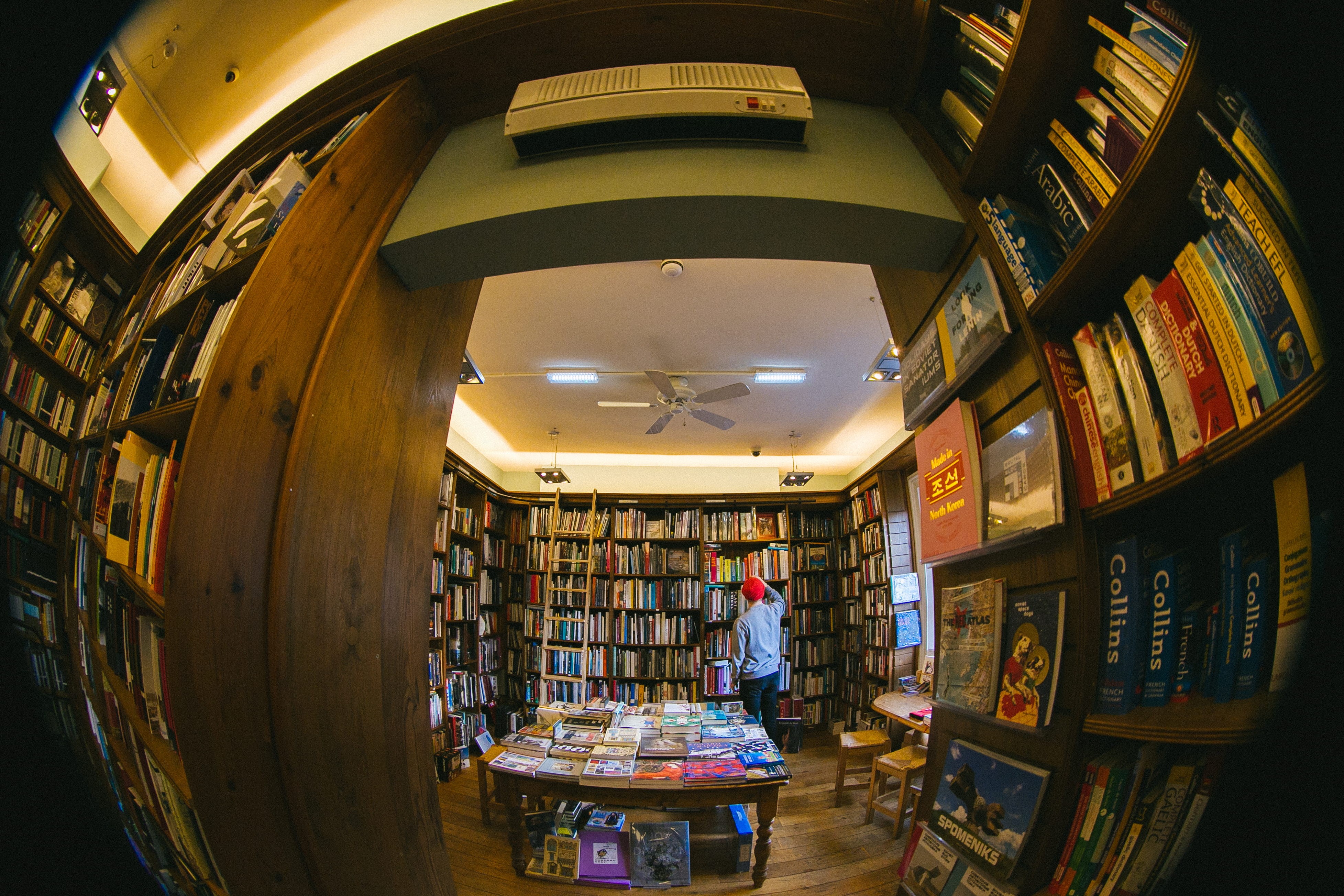 adult, market, ceiling fan, room, lighting, library, shelf, inside, human, bookcase, sphere, couch, women, bookstore, ceiling, illuminated, person, publication, HD Wallpaper