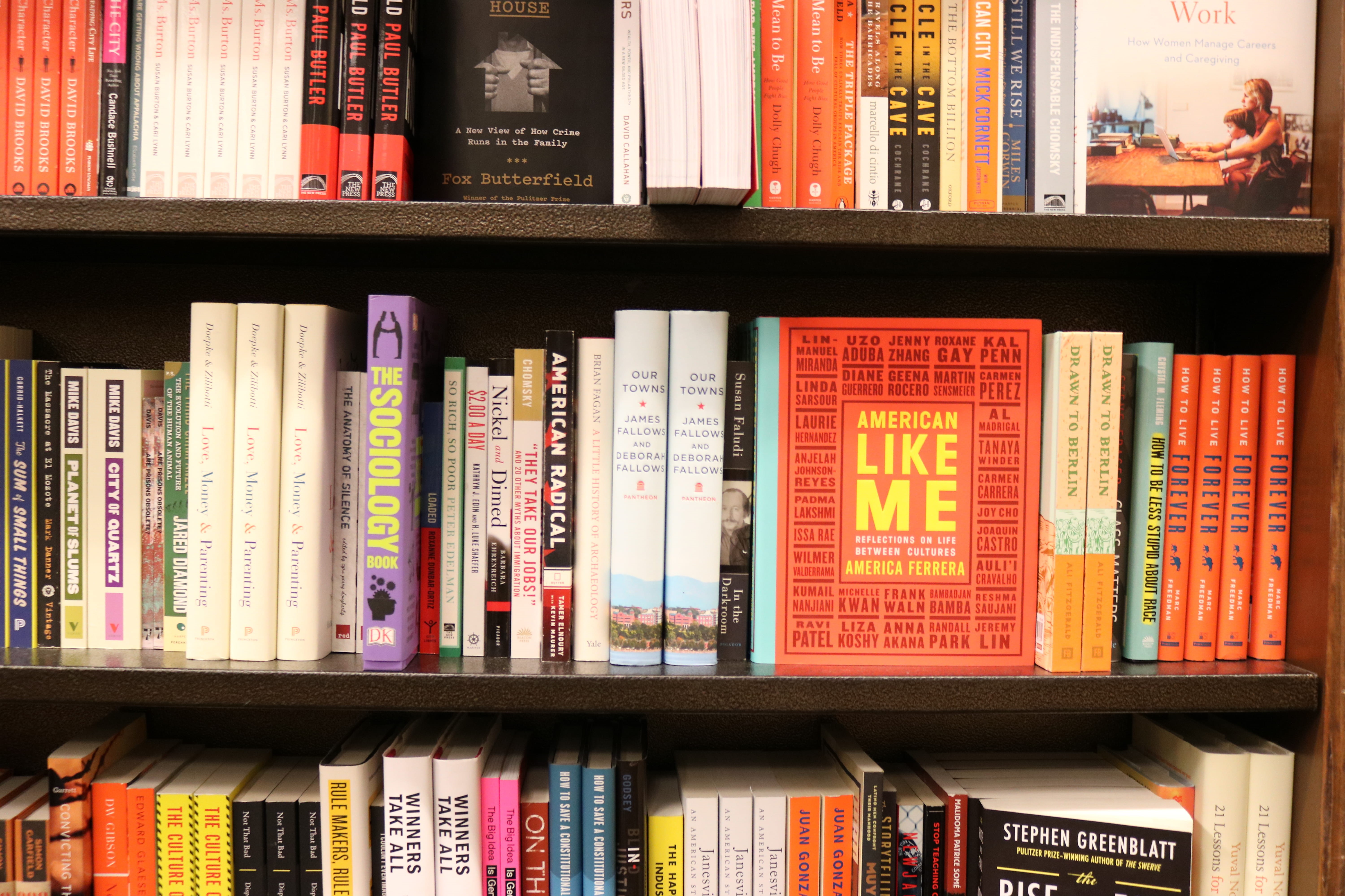 book, choice, order, no people, education, library, variation, shelf, bookstore, bookshelf, books, 5K, furniture, room, abundance, text, indoors, book sotre, HD Wallpaper