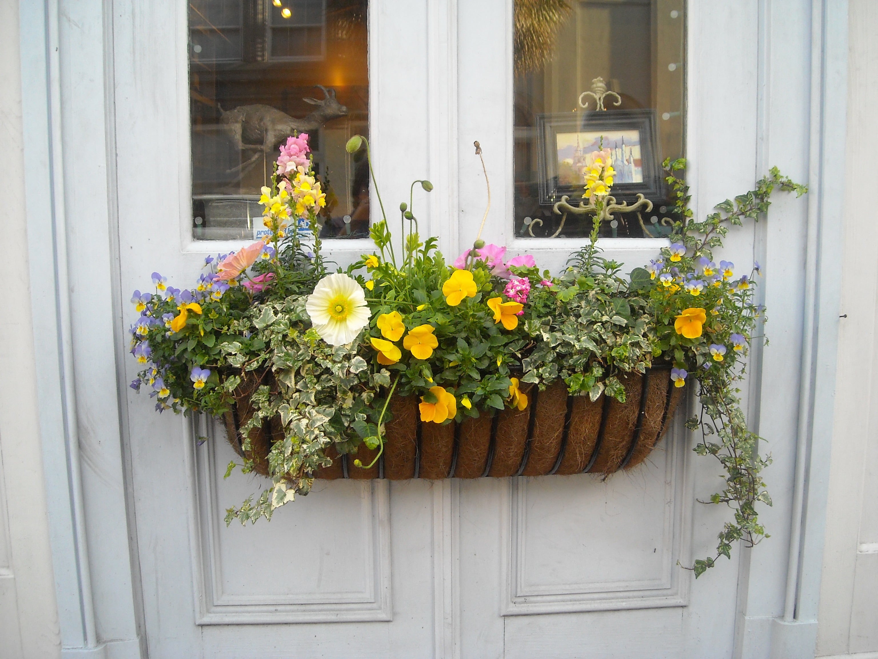 built structure, vulnerability, pot, entrance, wall, 2K, house, color, window, colorful, plant, stone, glass, exterior, decoration, garden, building, window box, HD Wallpaper