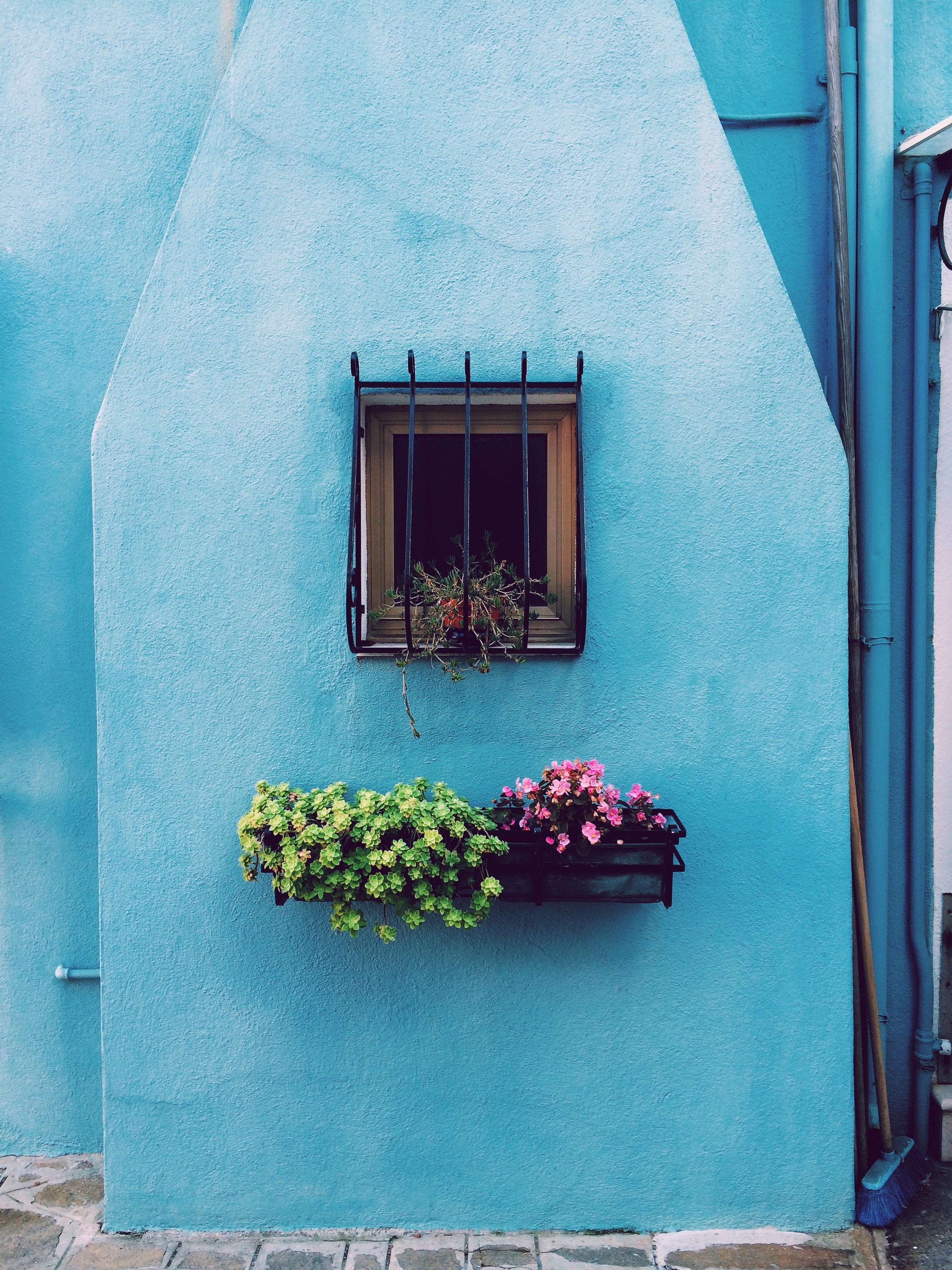 frame, building exterior, day, planter box, building, flower, built structure, wall, pink, mounted, green, blue, floating, blue wall, grill, plants, house, Phone HD Wallpaper