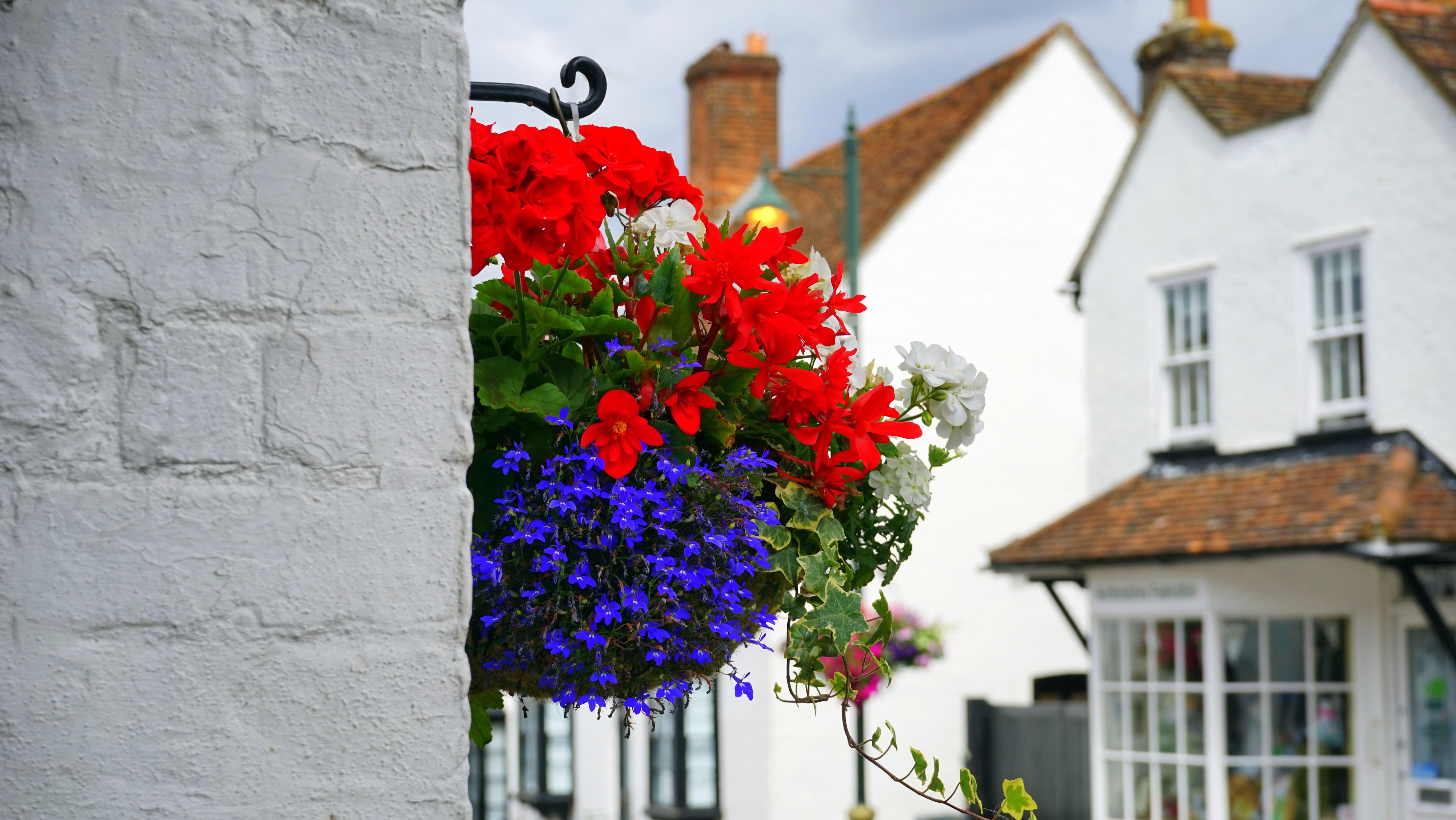 focus on foreground, wall, nature, gardening, retail, brick, architecture, house, exterior, 5K, residential district, bunch, beauty in nature, bouquet, HD Wallpaper