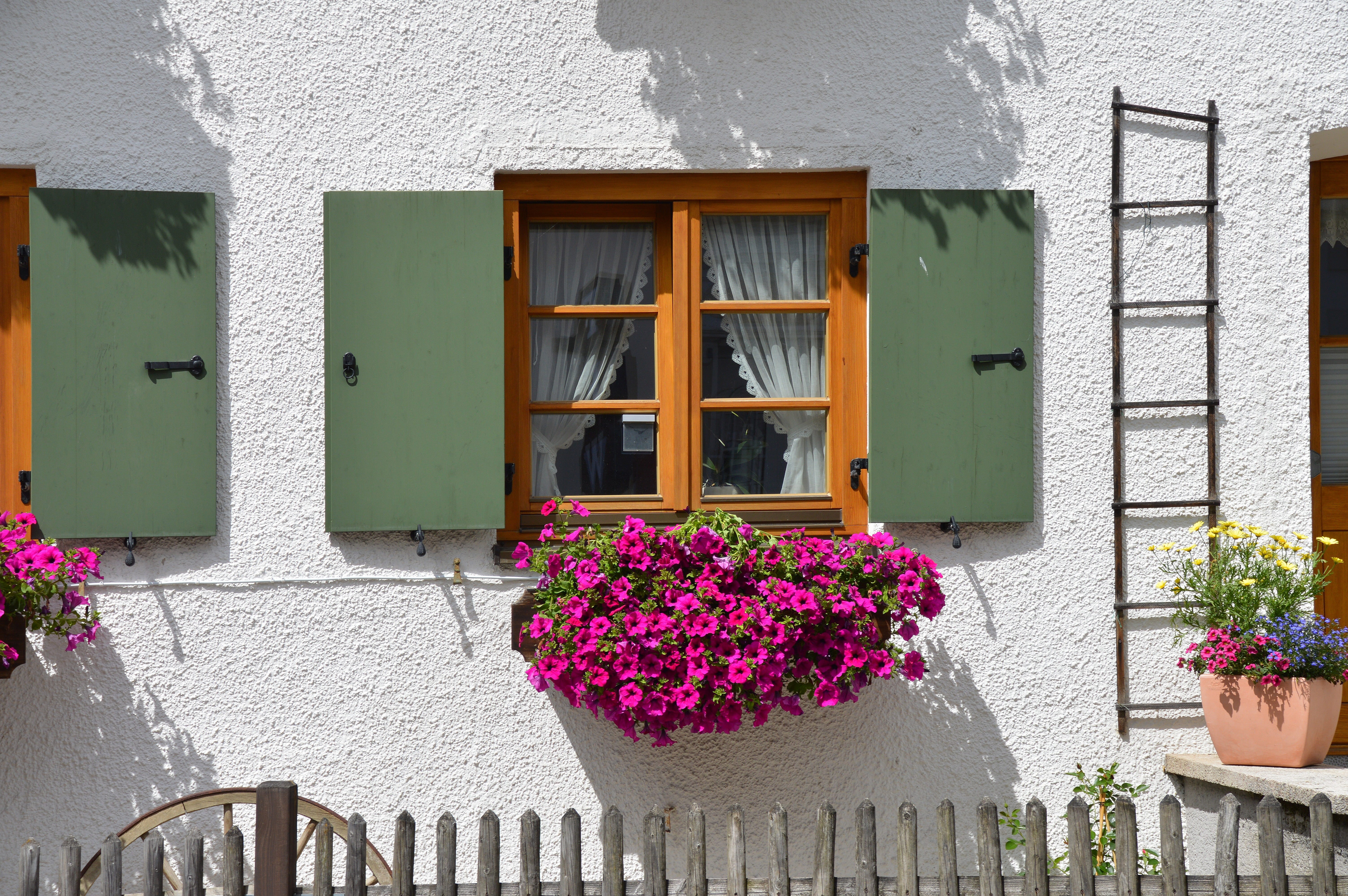 flowers, residential district, shutter, flower, growth, day, brown, bavarian, wall - building feature, plant, built structure, house, 5K, wooden, window flower, HD Wallpaper