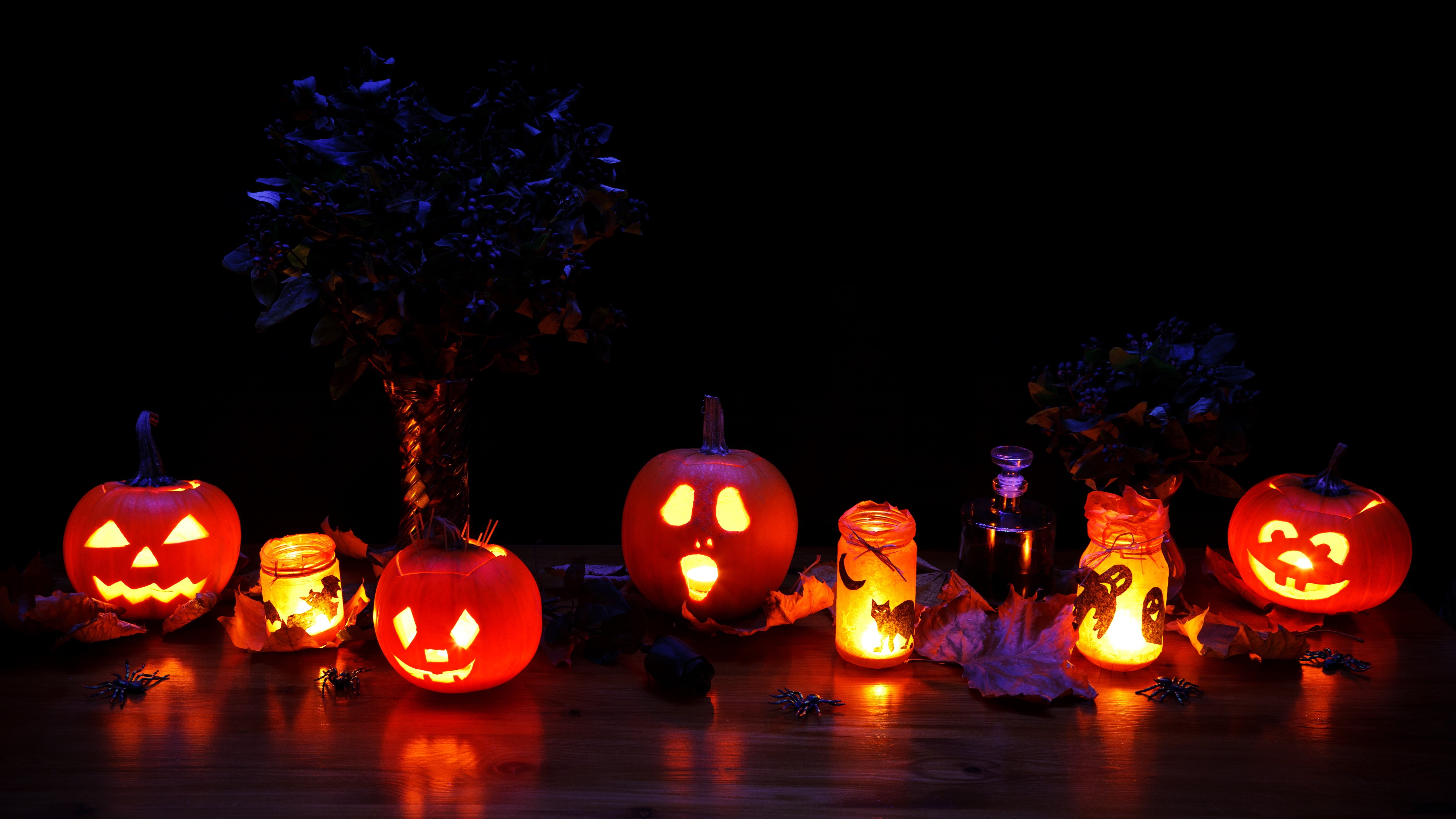 black background, autumn, lights, smiling, candle, night, trick, food and drink, jack o lantern, horror, creativity, treat, lighting equipment, spooky, HD Wallpaper