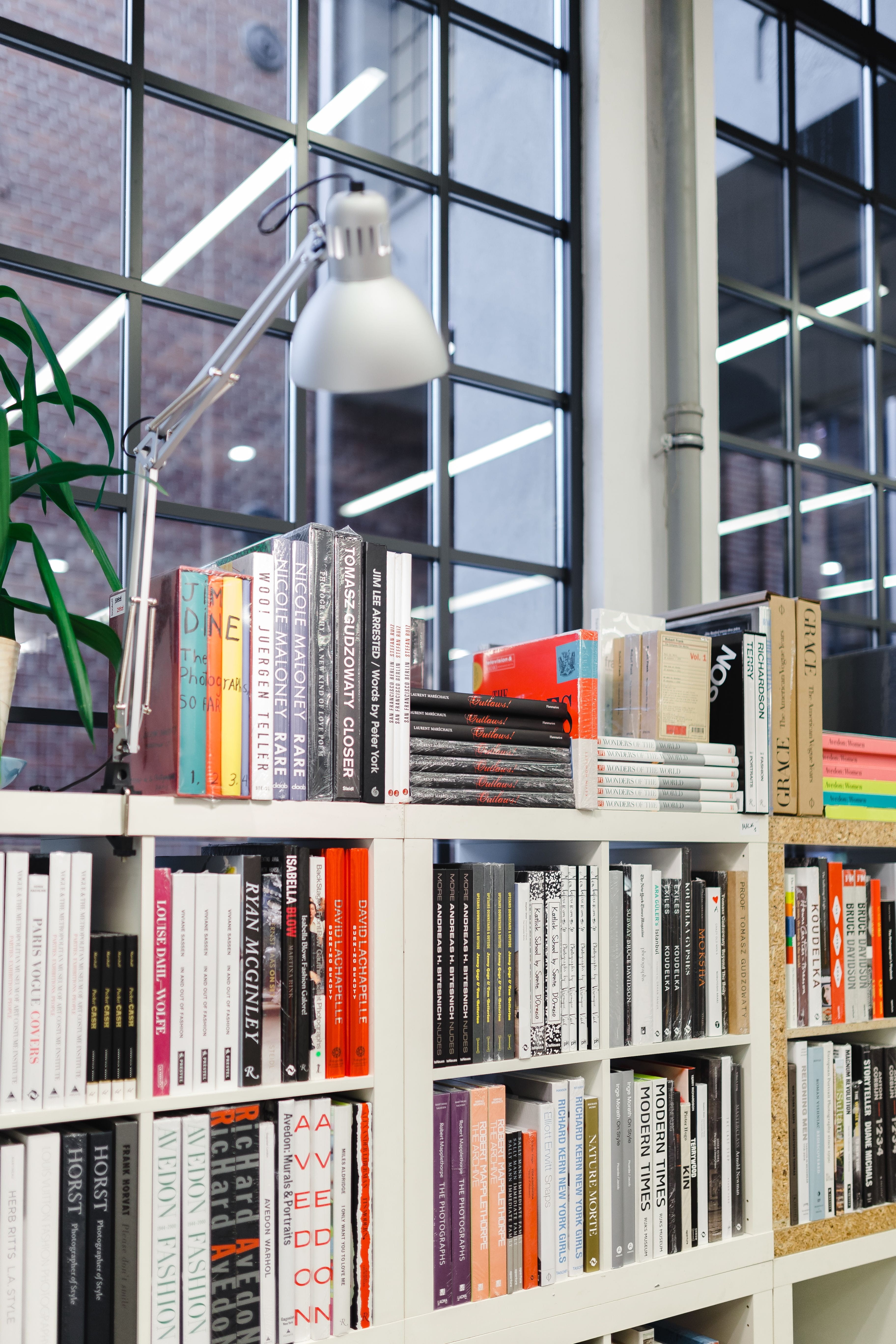 variation, no People, shelf, library, large group of objects, close-up, bookstore, literature, knowledge, publication, bookshelf, education, store, abundance, Phone HD Wallpaper