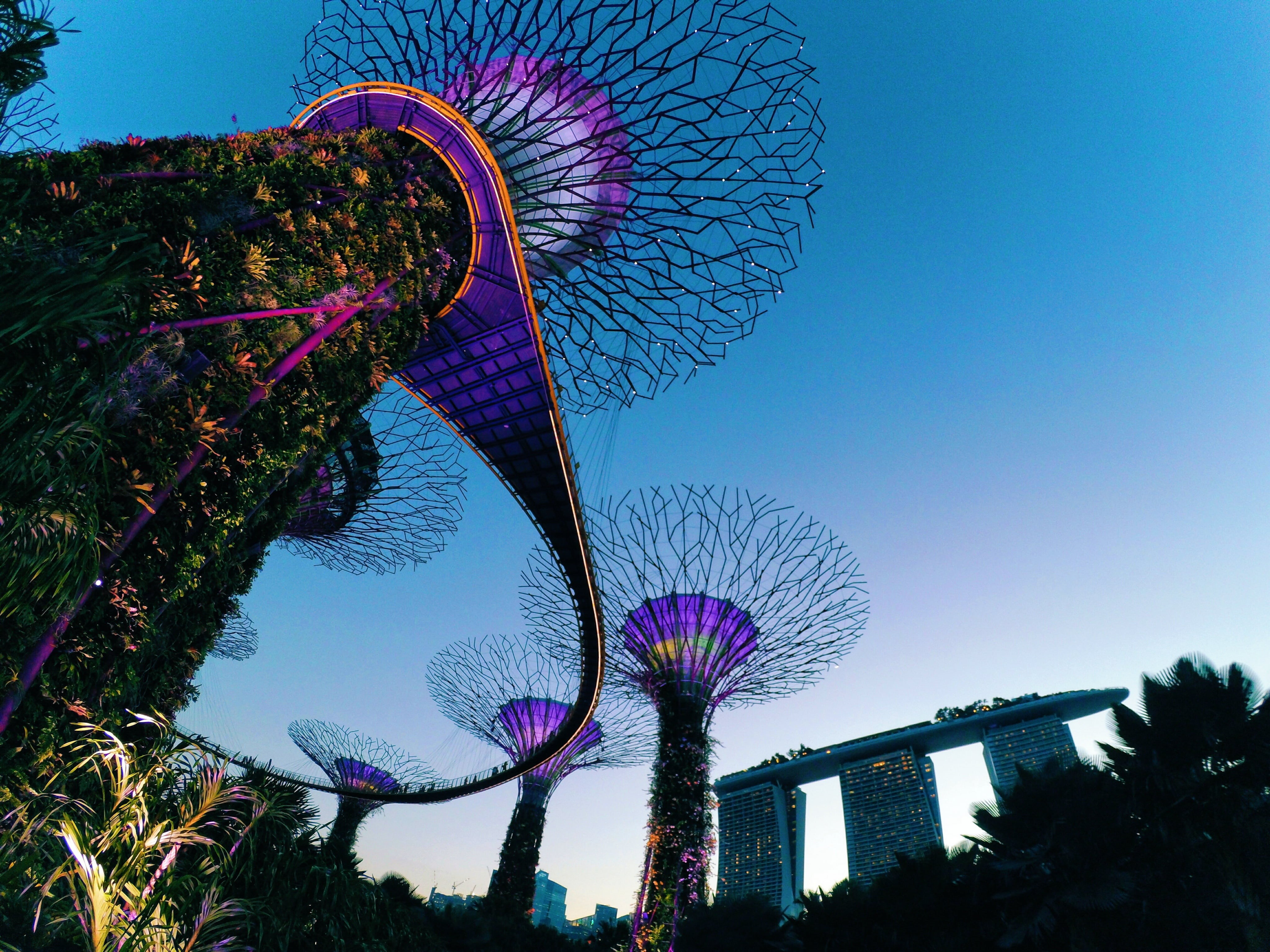 ferris wheel, clear sky, human, blue, purple, bay, day, nature, arts culture and entertainment, garden, dusk, singapore, amusement park, architecture, built structure, HD Wallpaper