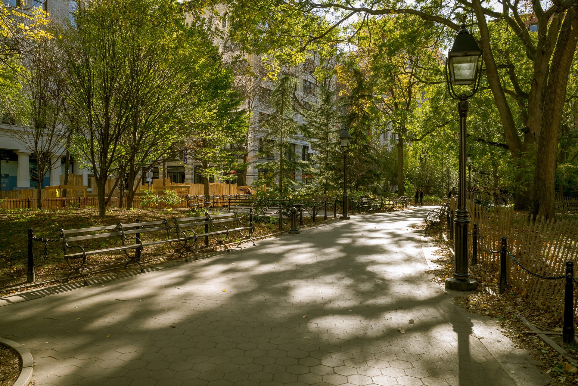 sunlight, greenwich village, trees, day, footpath, benches, tranquility, trunk, plant, architecture, new york, nyc, united states, no people, green color, HD Wallpaper