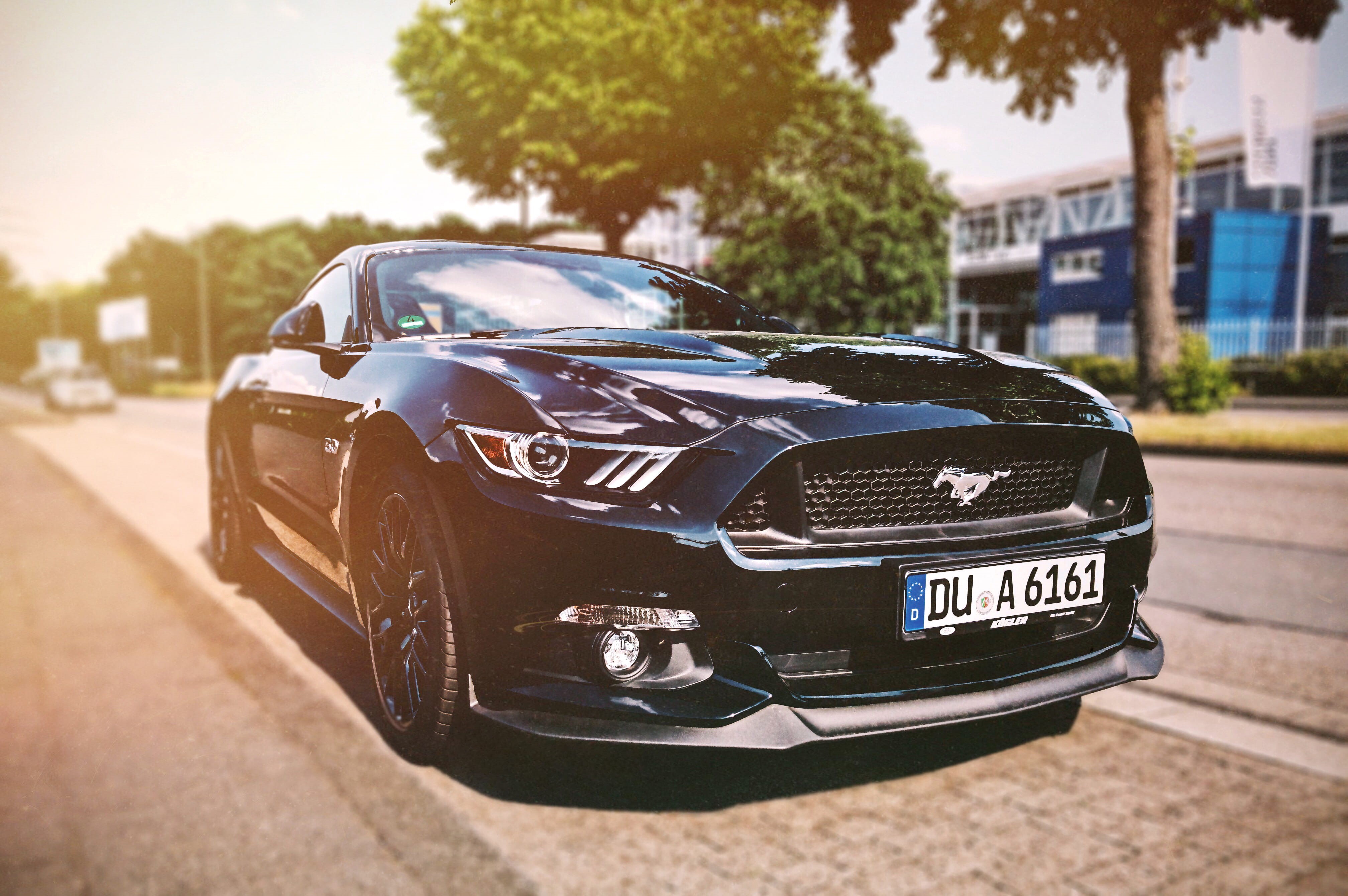 sports, day, photography, sport, sports Car, outdoors, city, road trip, mode of transportation, Mustang, black, people, motor vehicle, ford, beside, nature, HD Wallpaper
