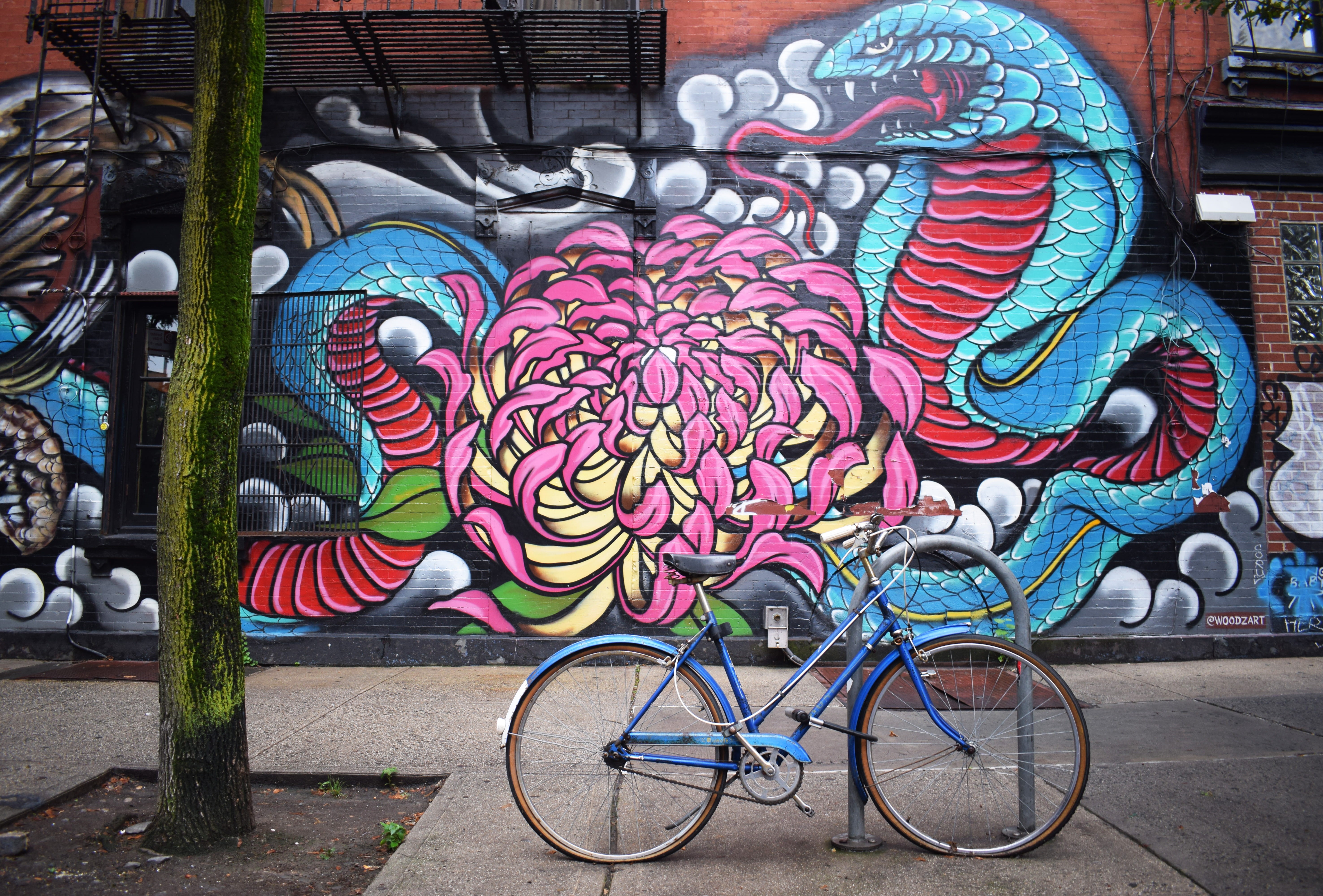tree trunk, building exterior, urban art, color, parked, near, street life, photo, transportation, day, representation, decoration, mural, built structure, HD Wallpaper