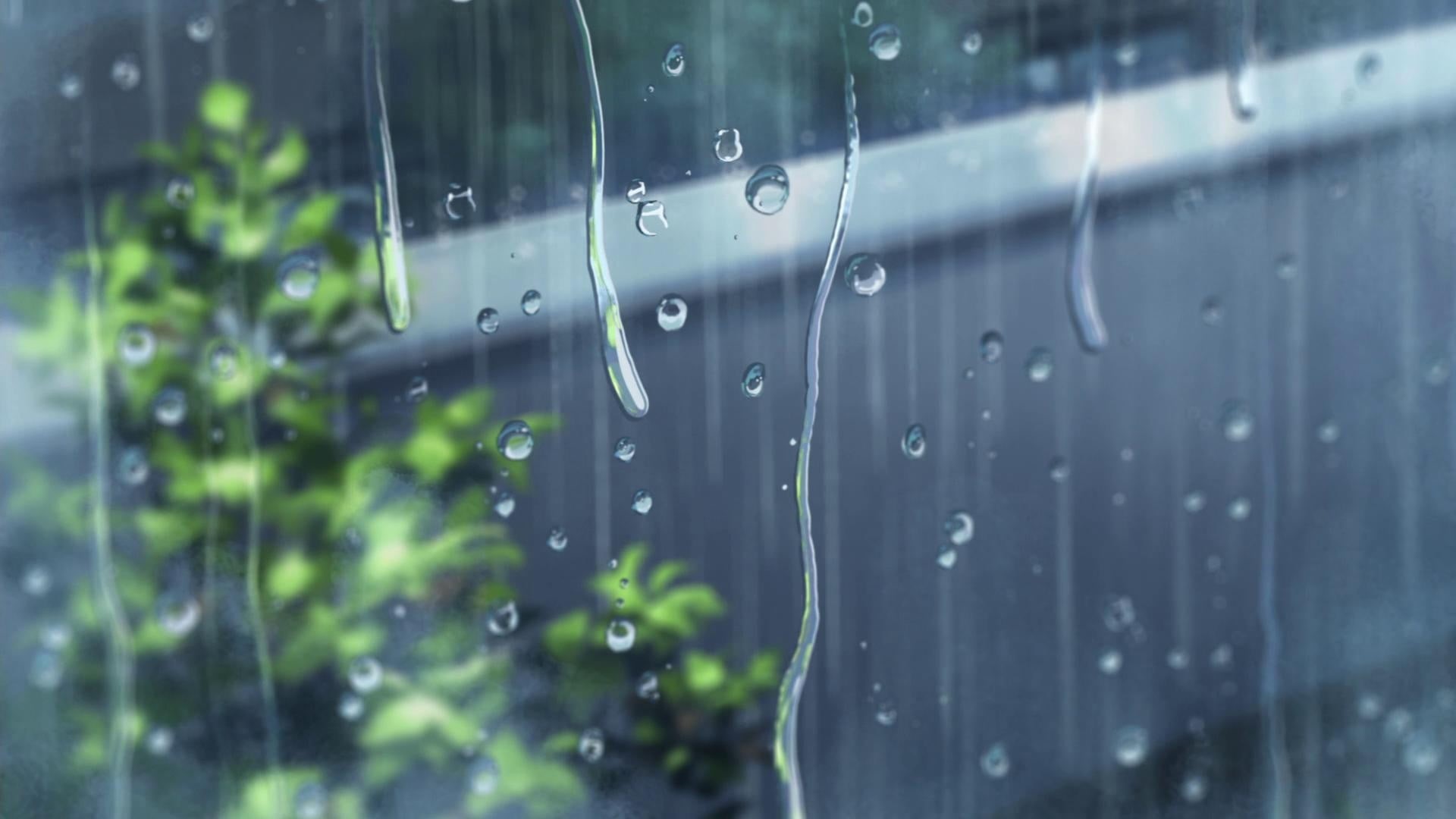 rain, no people, green, focus on foreground, nature, 1080P, glass - material, water, dew, drop, purity, transparent, rainy season, wet, window, freshness, HD Wallpaper