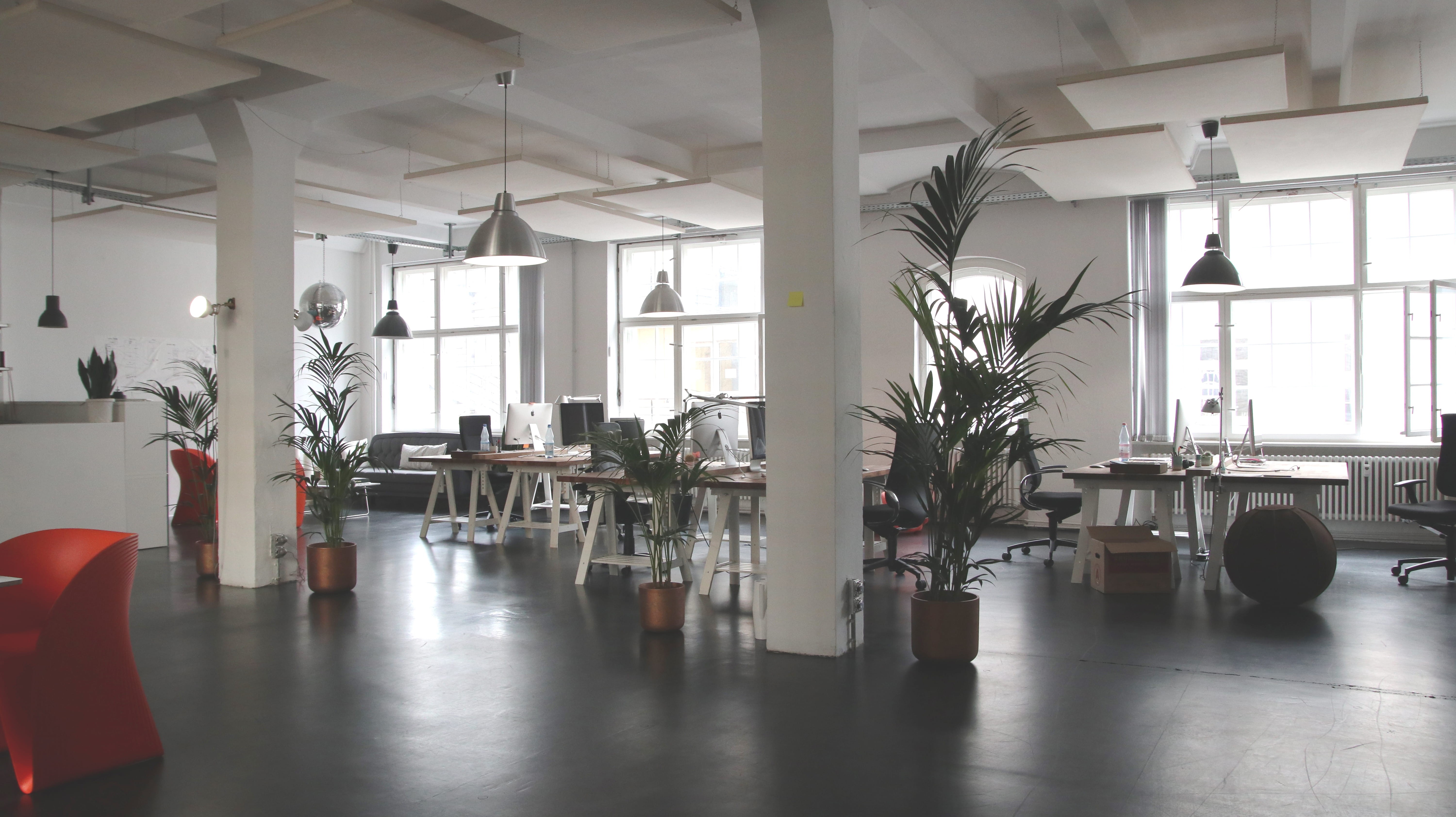 windows, chairs, clean, design, seat, plant, office, architectural design, technology, window, architectural column, lamp, reflection, nature, architecture, HD Wallpaper