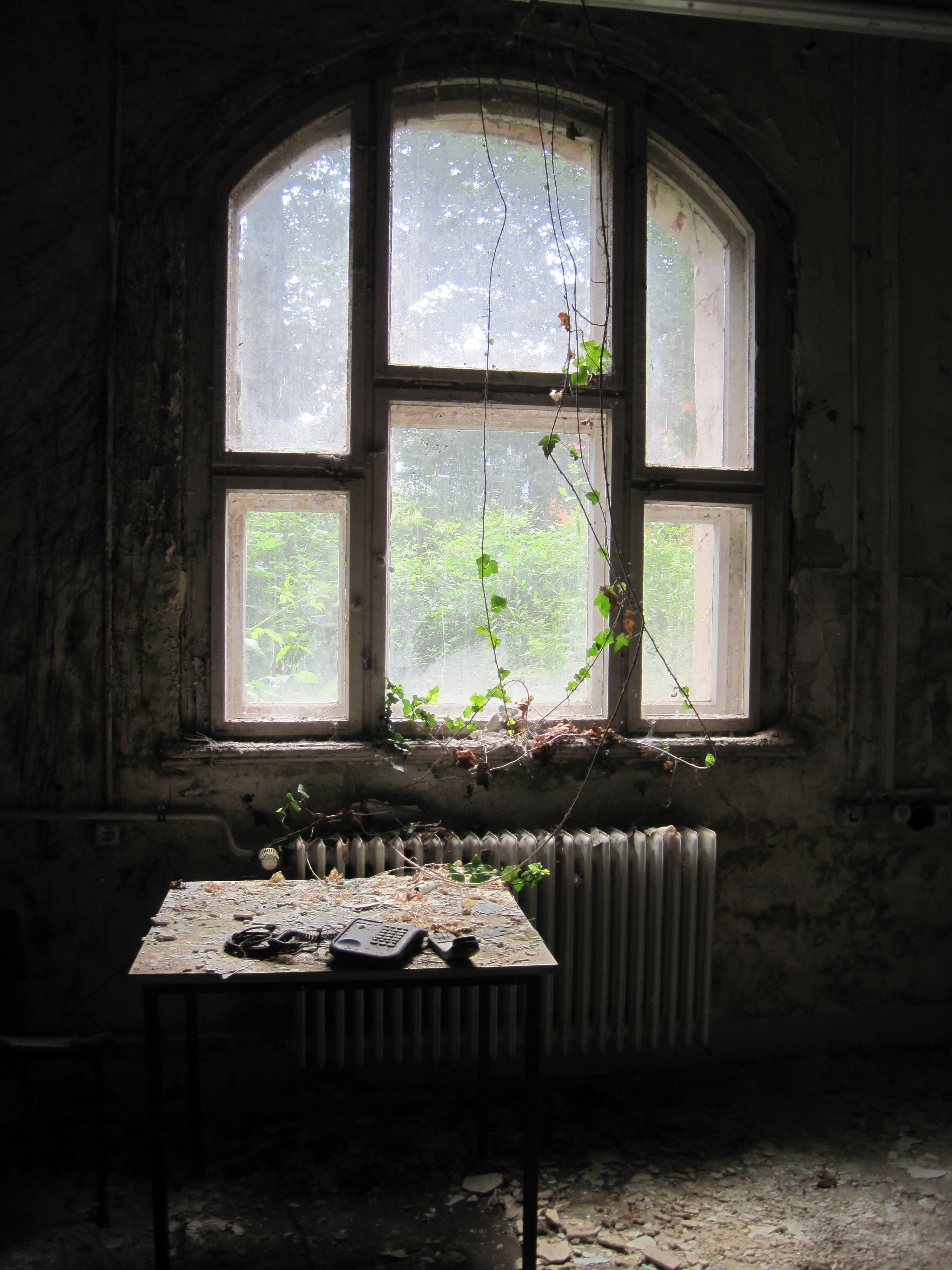 old, heating, light, run down, glass, lost places, transparent, ailing, broken, forget, door, indoors, rays, no people, run-down, ruin, plant, day, window, Phone HD Wallpaper