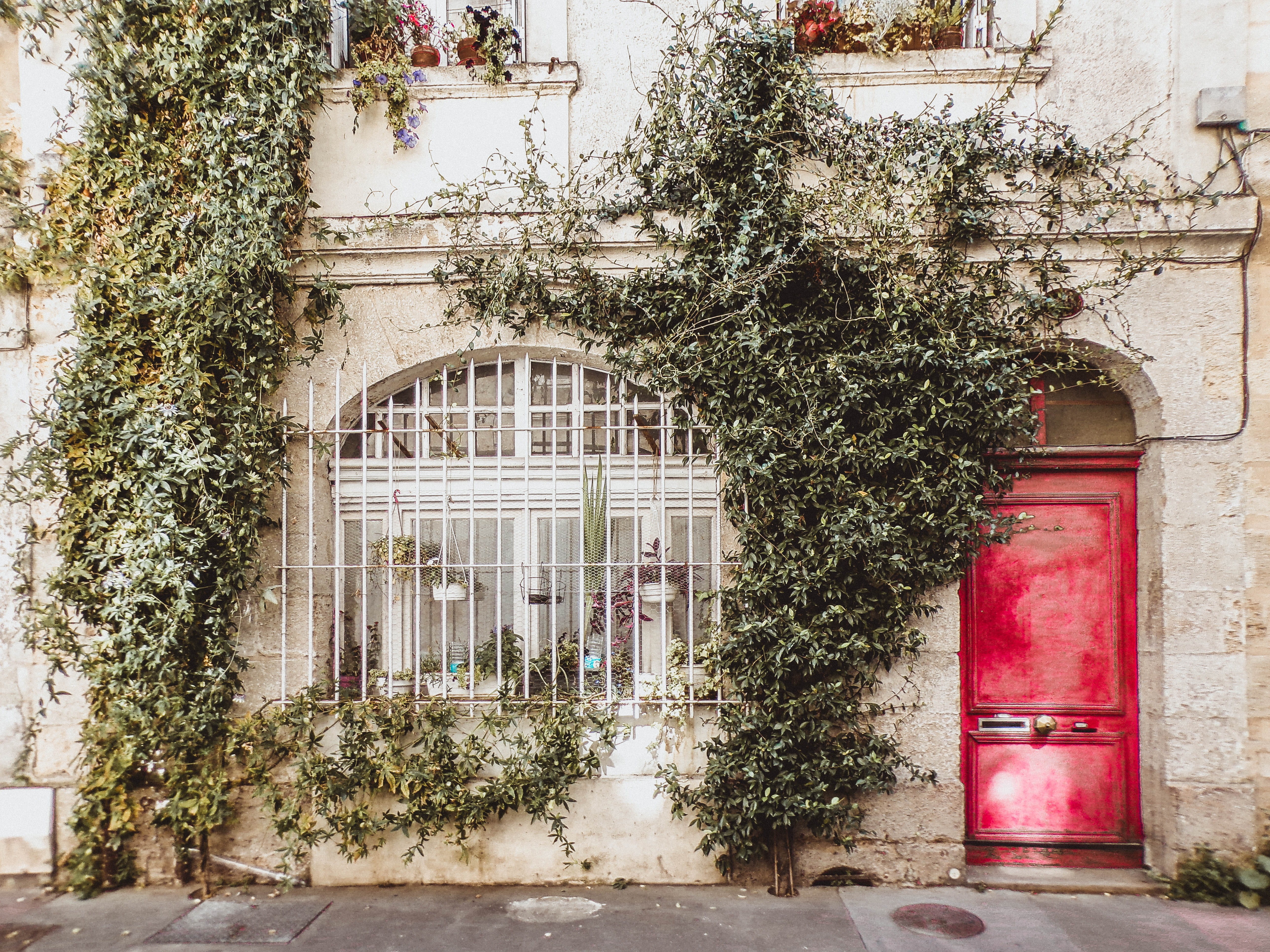 growth, arch, plants, urban, climbing, windows, built structure, no people, day, house, tree, front, doorway, traditional, daylight, climbing plant, plant, HD Wallpaper