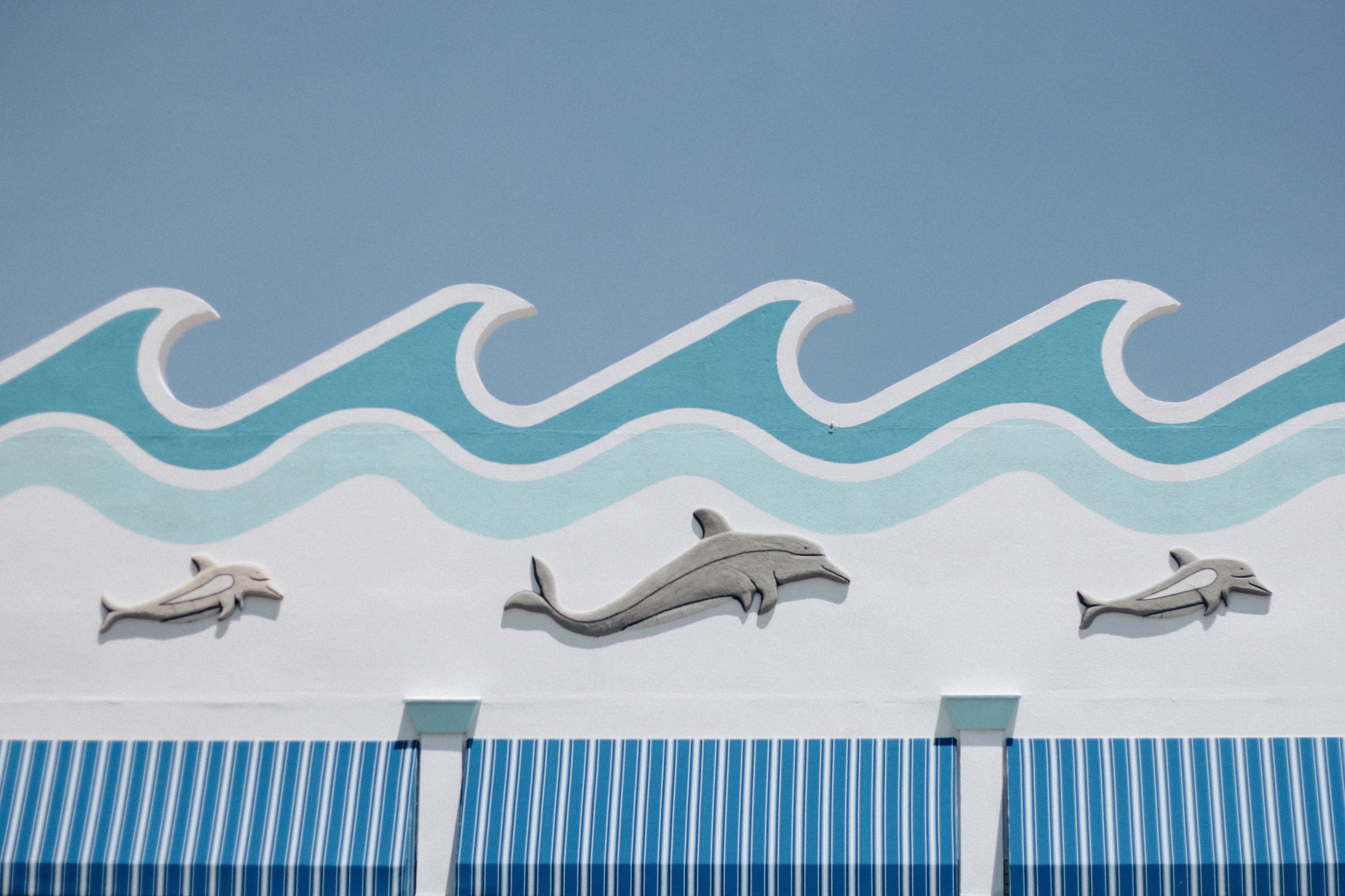 storefront, building, beach, animals in the wild, blue, animal themes, sky, fun, built structure, animal, 4K, emblem, swimming, day, sign, sunbathing, HD Wallpaper