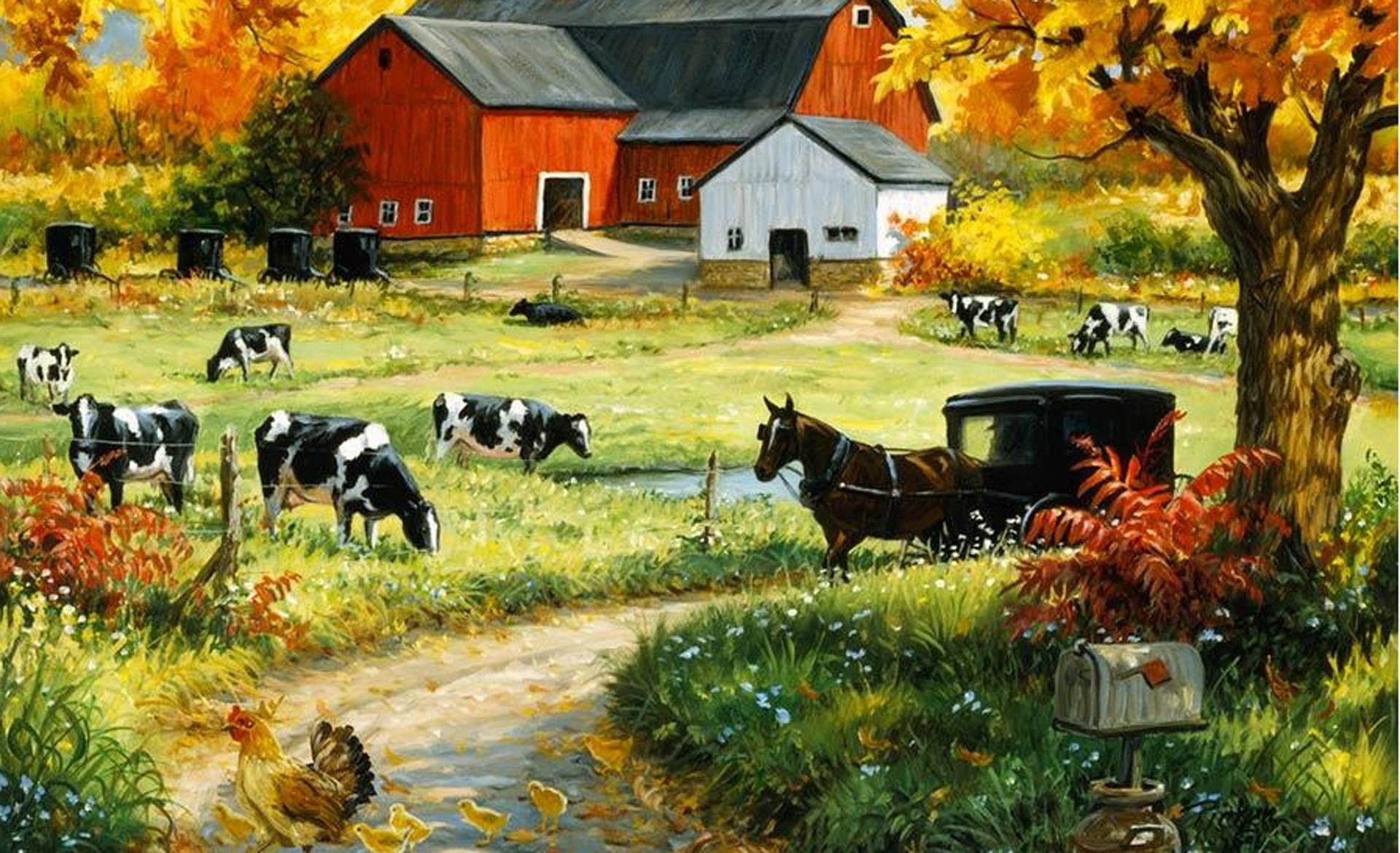 nature and landscapes, 1080P, barn, house, cows, farm, mcdonald, HD Wallpaper