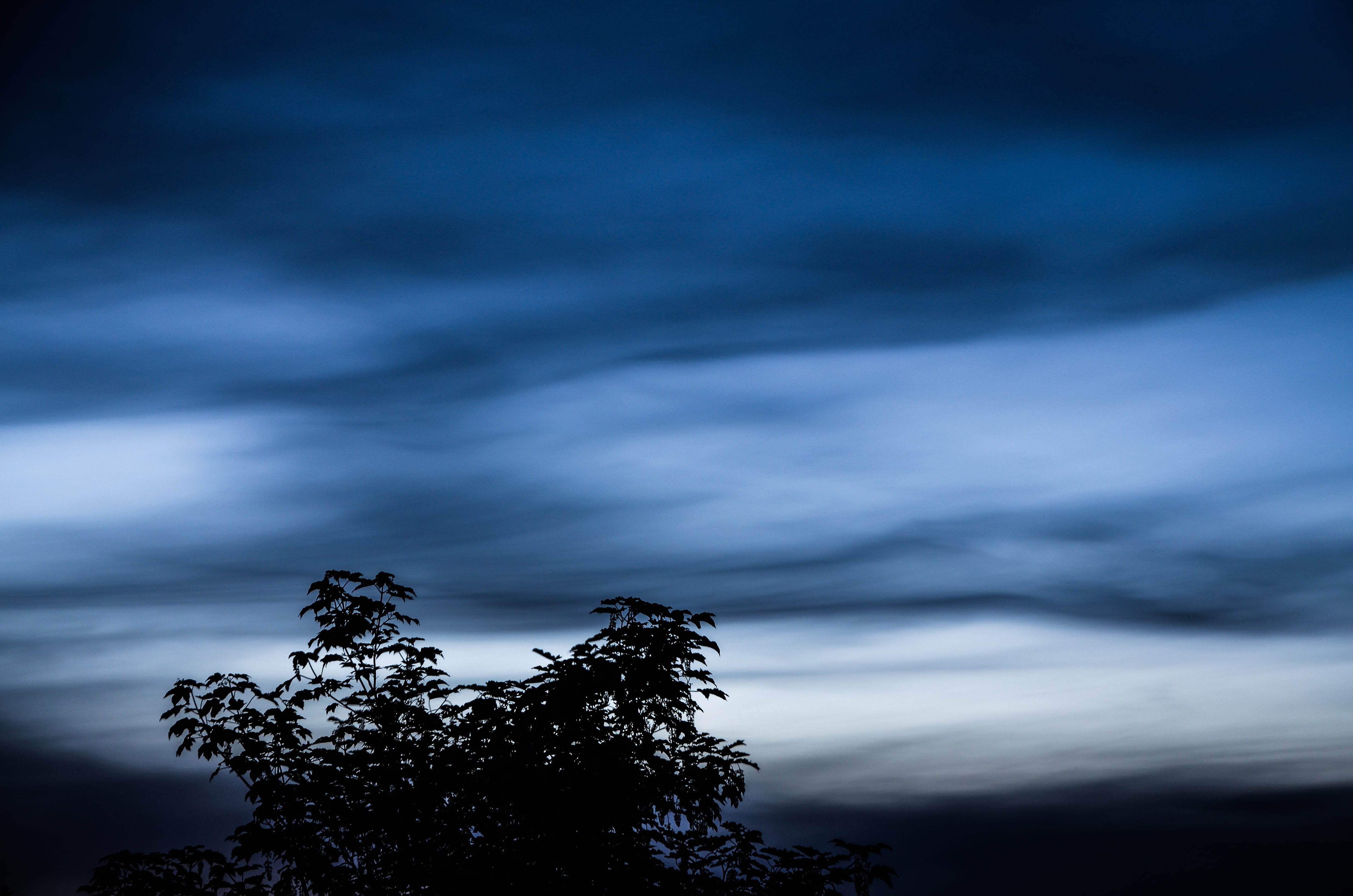 ice veil, ominous, sky, dusk, beauty in nature, 4K, low angle view, tranquil scene, scenics - nature, silhouette, twilight, tree, storm cloud, evening, HD Wallpaper