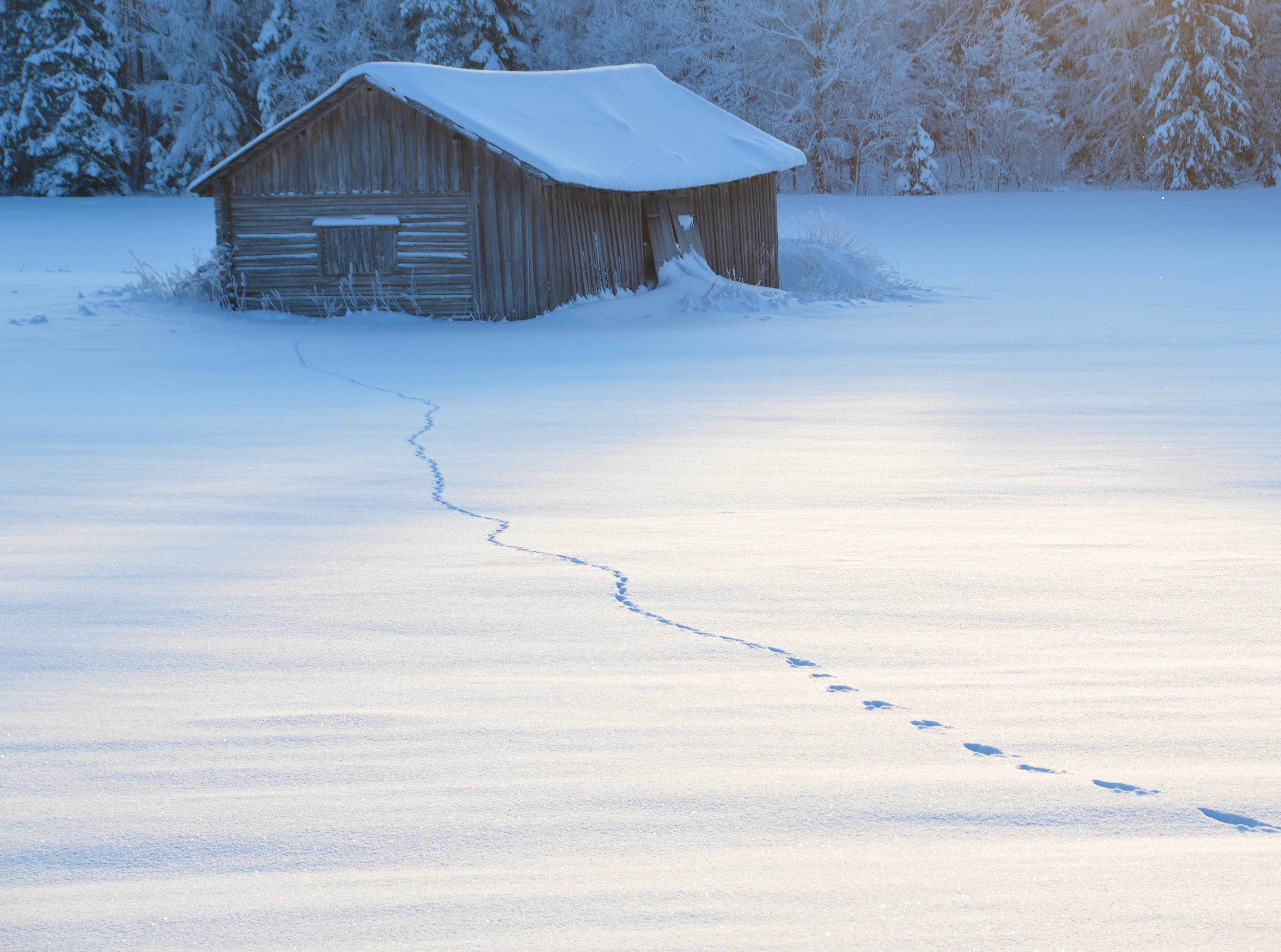 4K, no people, Barn, field, white, beauty in nature, built structure, wooden post, architecture, sininen, covering, day, cold temperature, wooden, white color, HD Wallpaper
