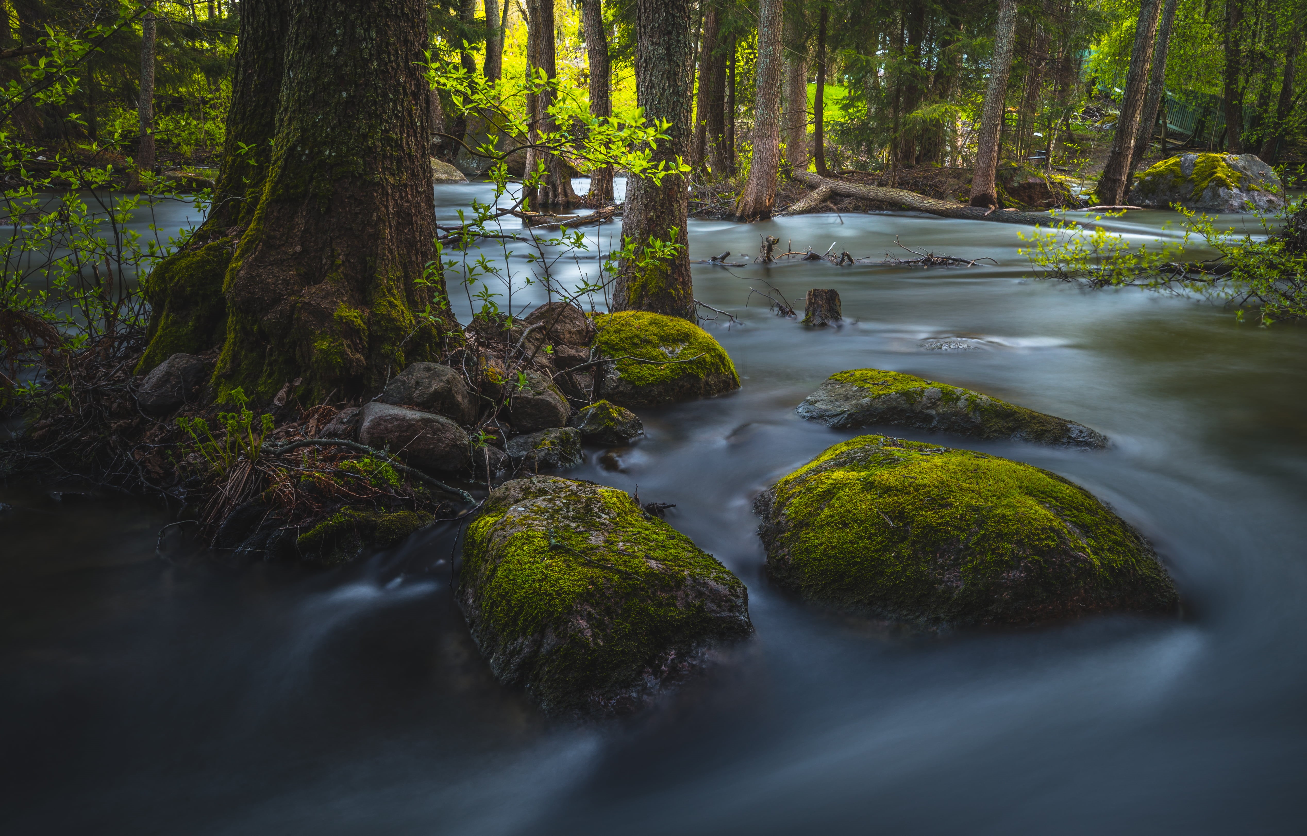 nikon  d600, Mossy, waterfall, photo, 4K, nikkor, 35mm, outdoors, trees, flow, forest, nature, langinkoski, river, water, Rocks, scenics, stream, sunset, HD Wallpaper