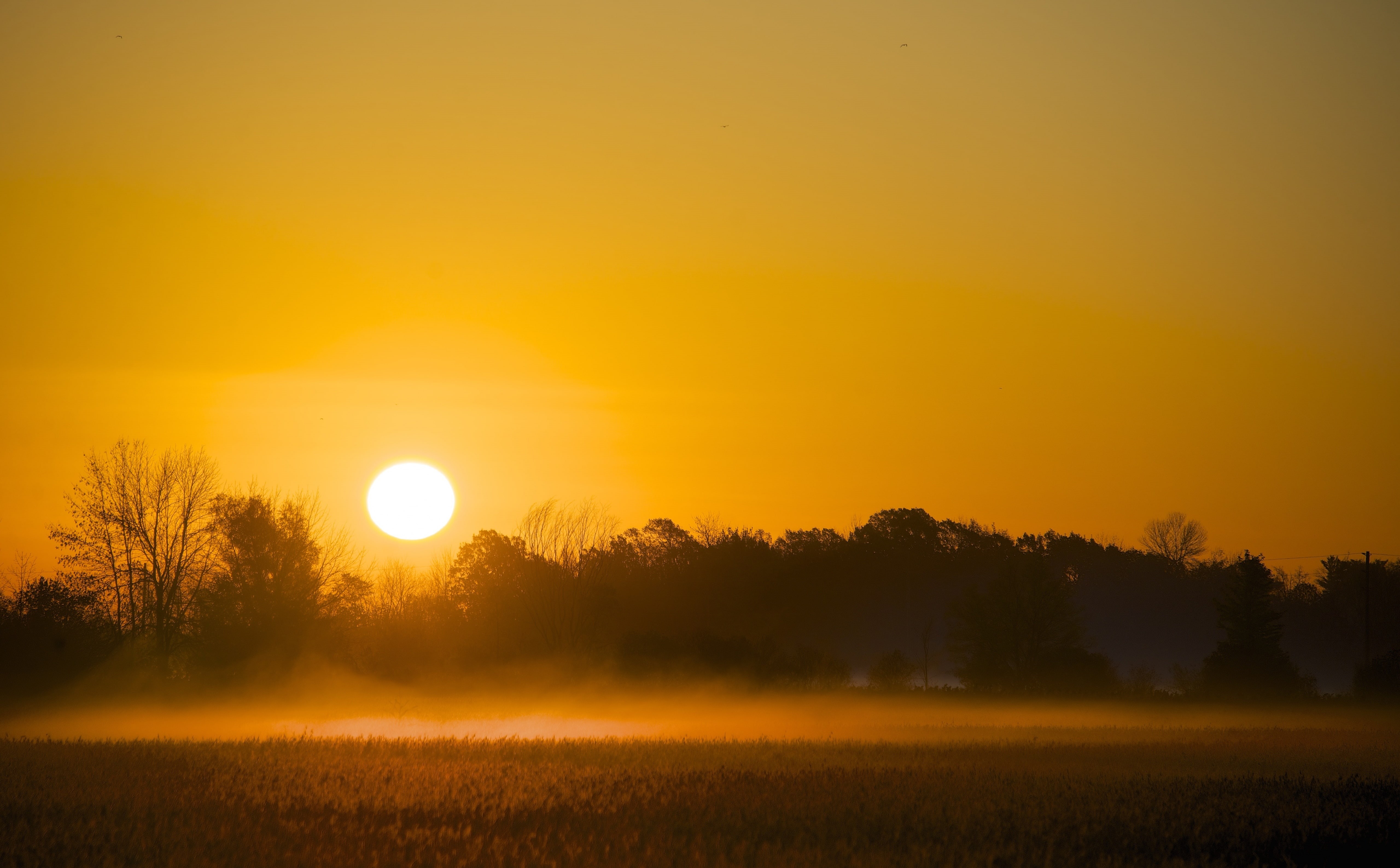 Field, outdoors, environment, landscape, d600, no people, tranquil scene, nepean, sun, tree, romantic sky, barrhaven, plant, crop, ottawa, nature, Ontario, HD Wallpaper