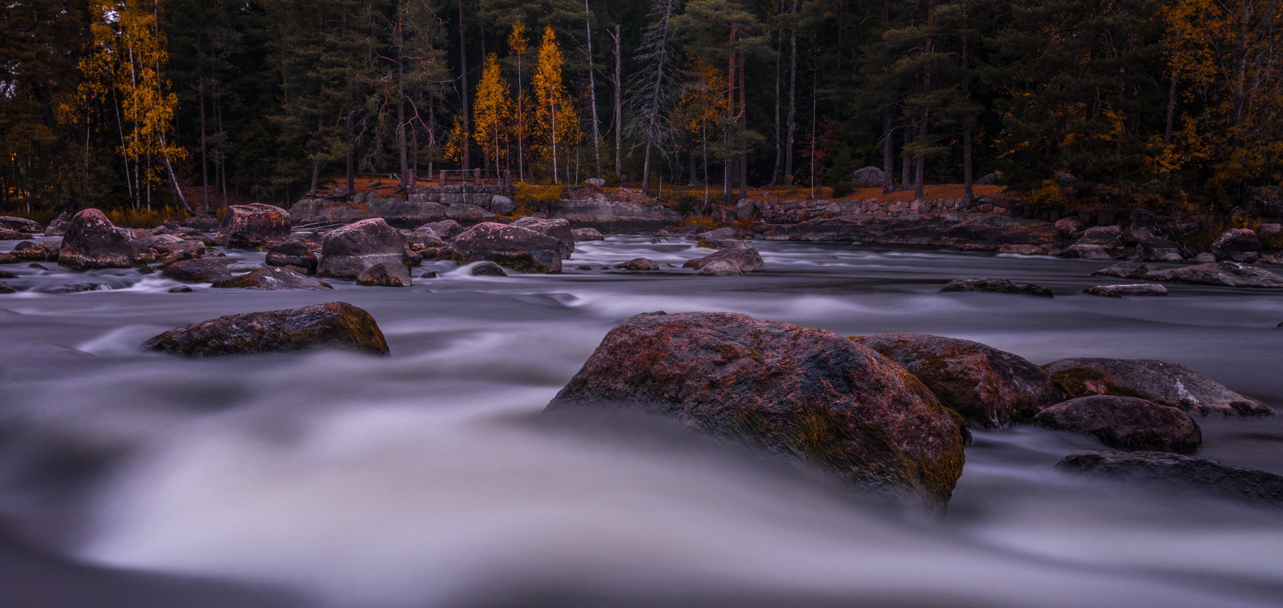 stream, kymi, nikkor, three, surrounded, landscape, rapids, 4K, nikon  d600, tress, tree, water, flow, autumn, Langinkoski, body, forest, rock - Object, HD Wallpaper