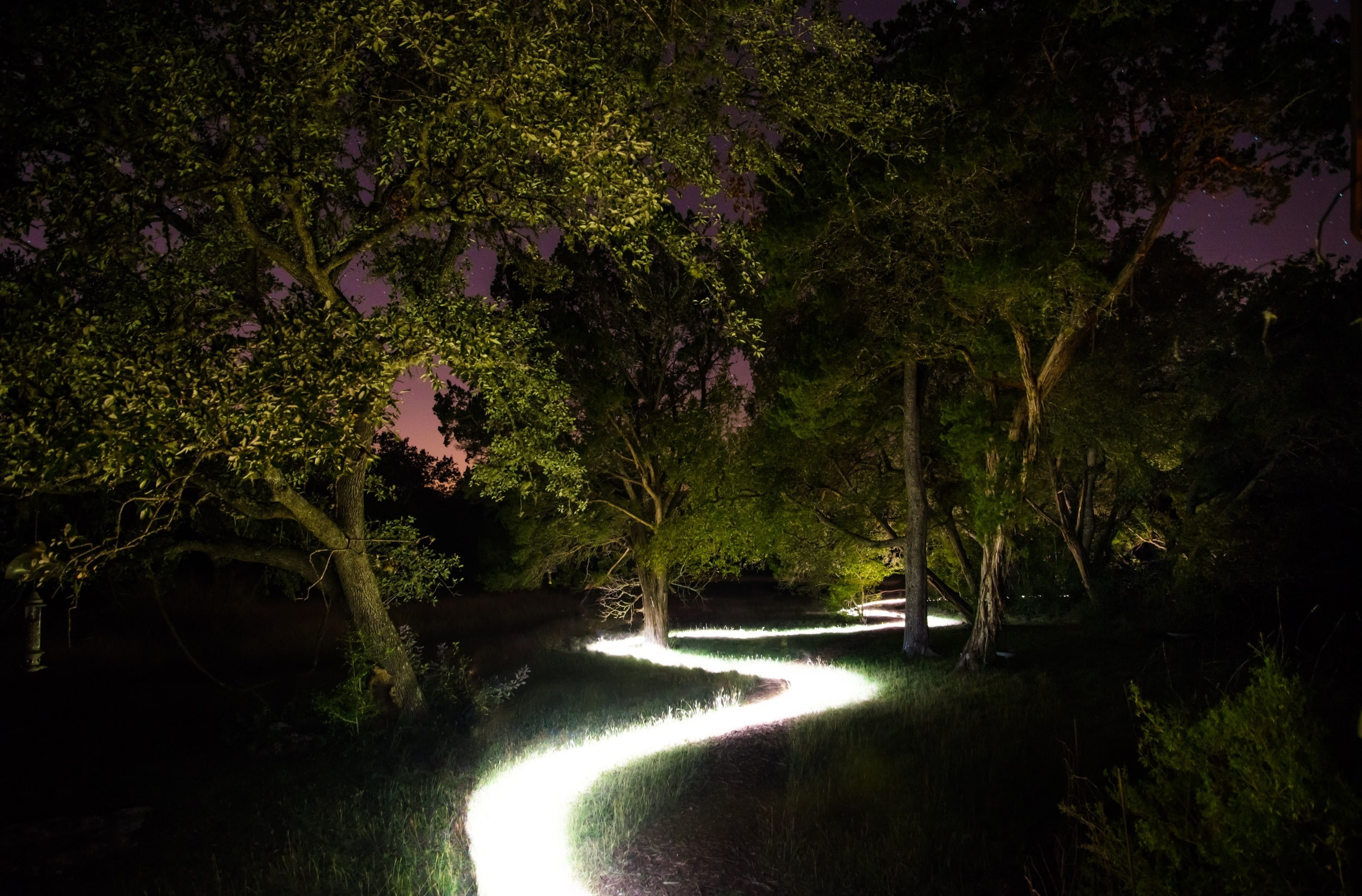 Halloween, abduction, nikon, land, 2K, tranquil scene, Texas, Holidays, illuminated, beauty in nature, Alien, growth, direction, nature, flowing water, HD Wallpaper